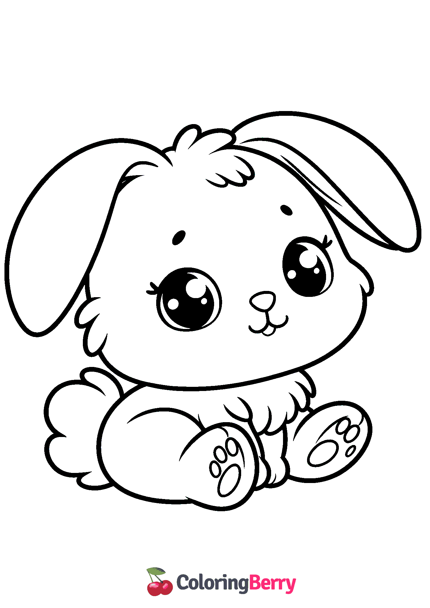 Baby Bunny