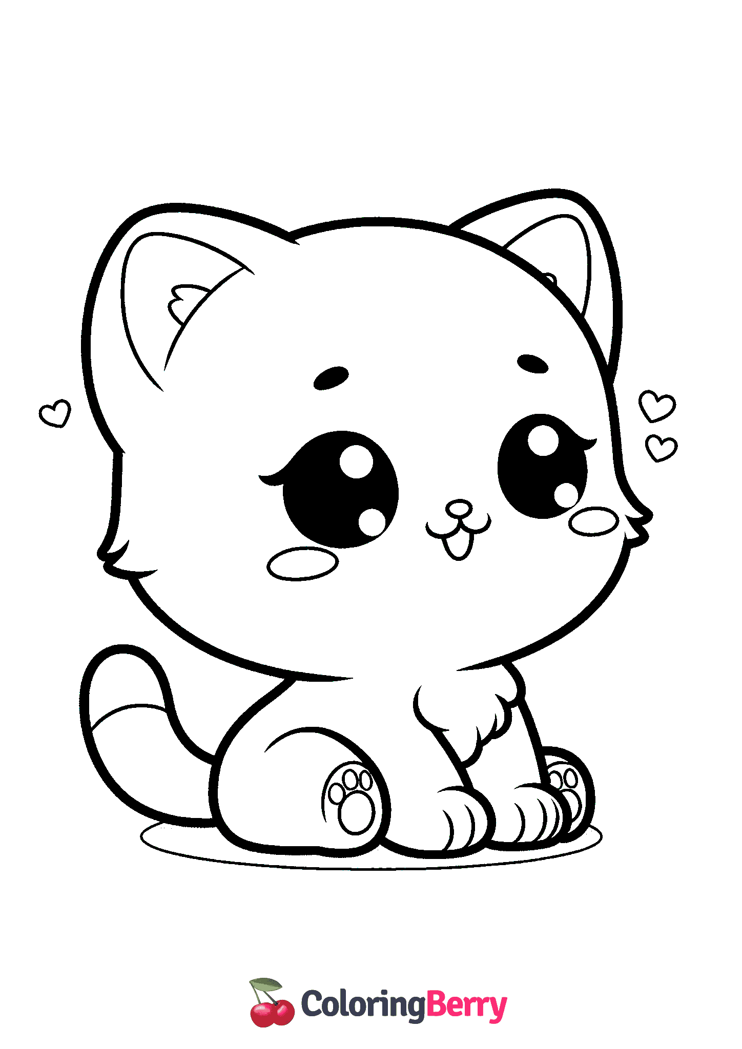 Baby Cat