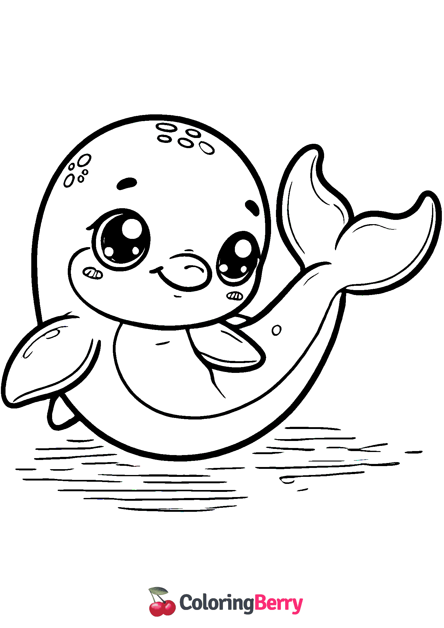 Baby Dolphin