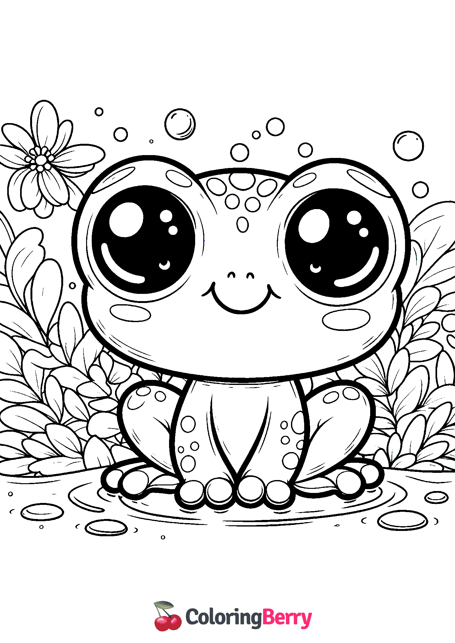 Baby Frog