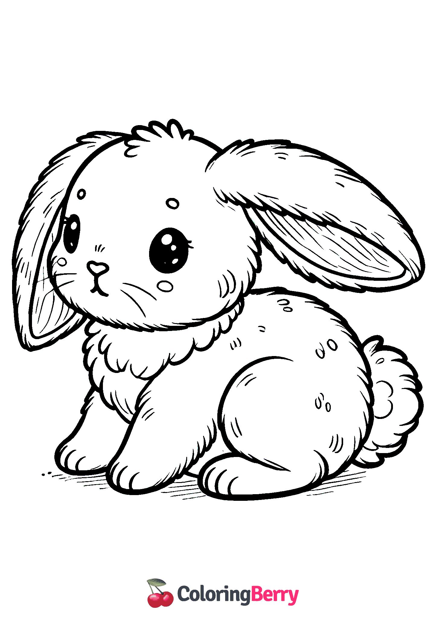 Baby Hare
