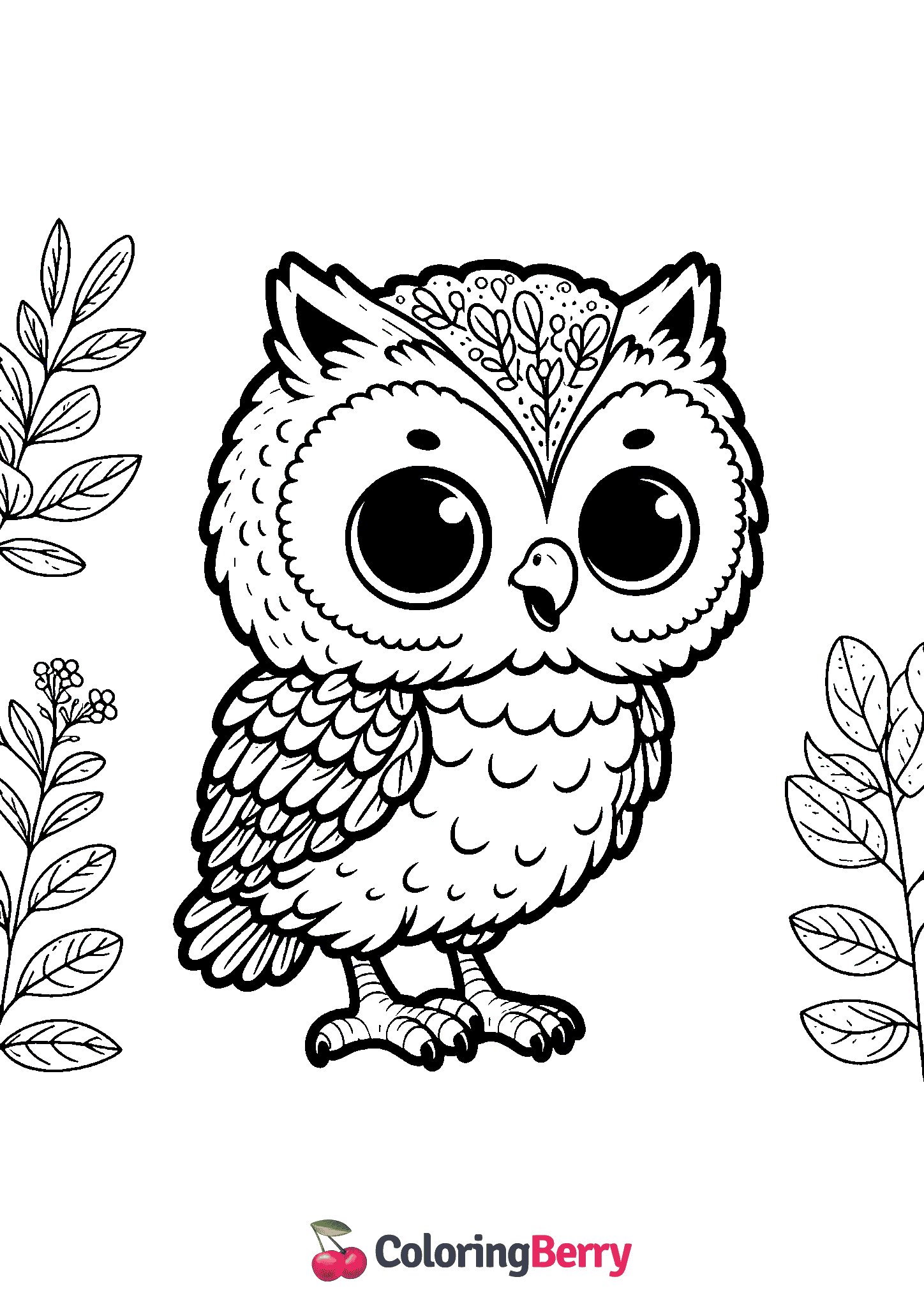 Baby Owl