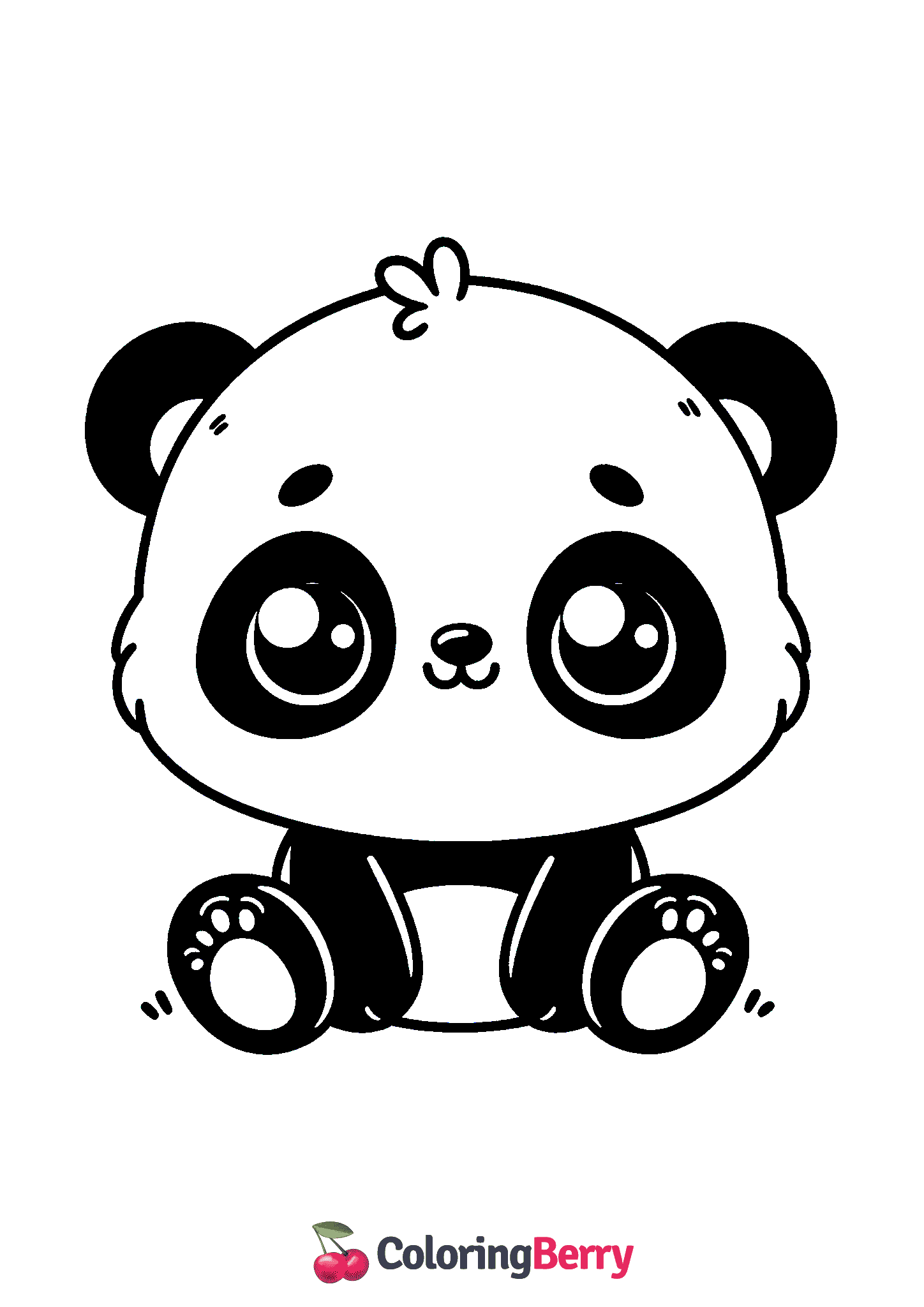 Baby Panda