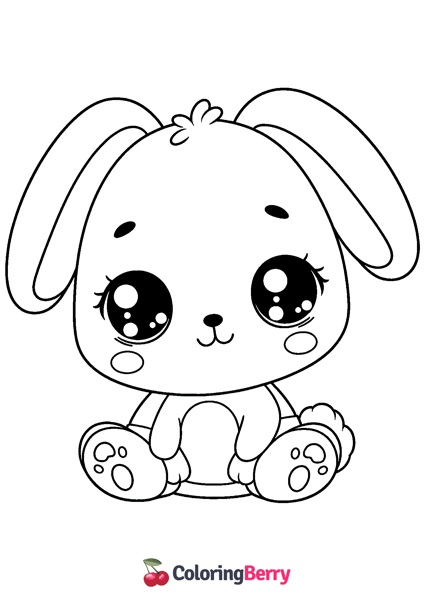 Baby Rabbit