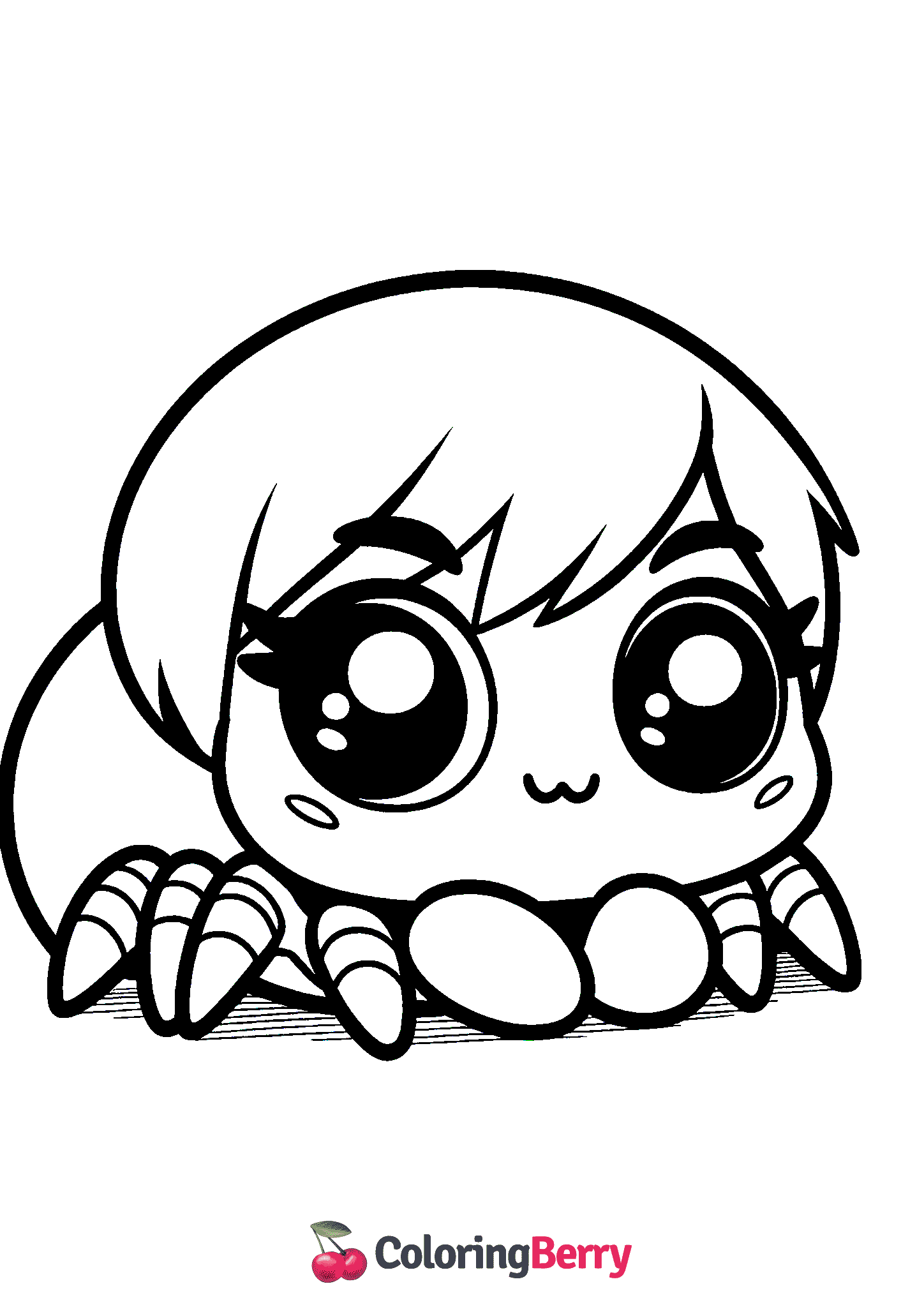 Baby Spider