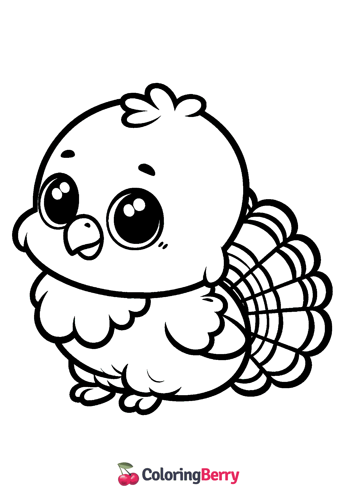 Baby Turkey