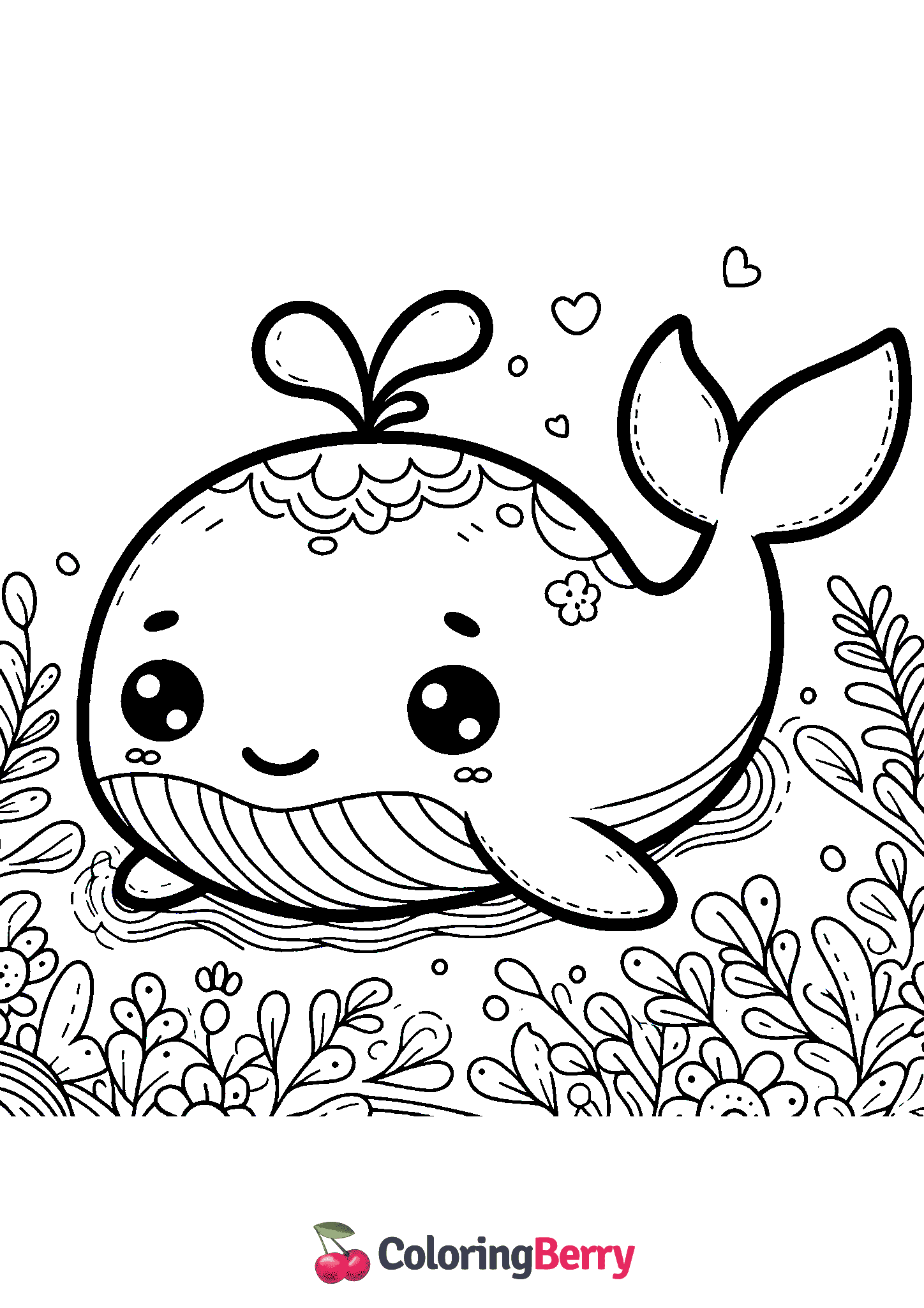 Baby Whale