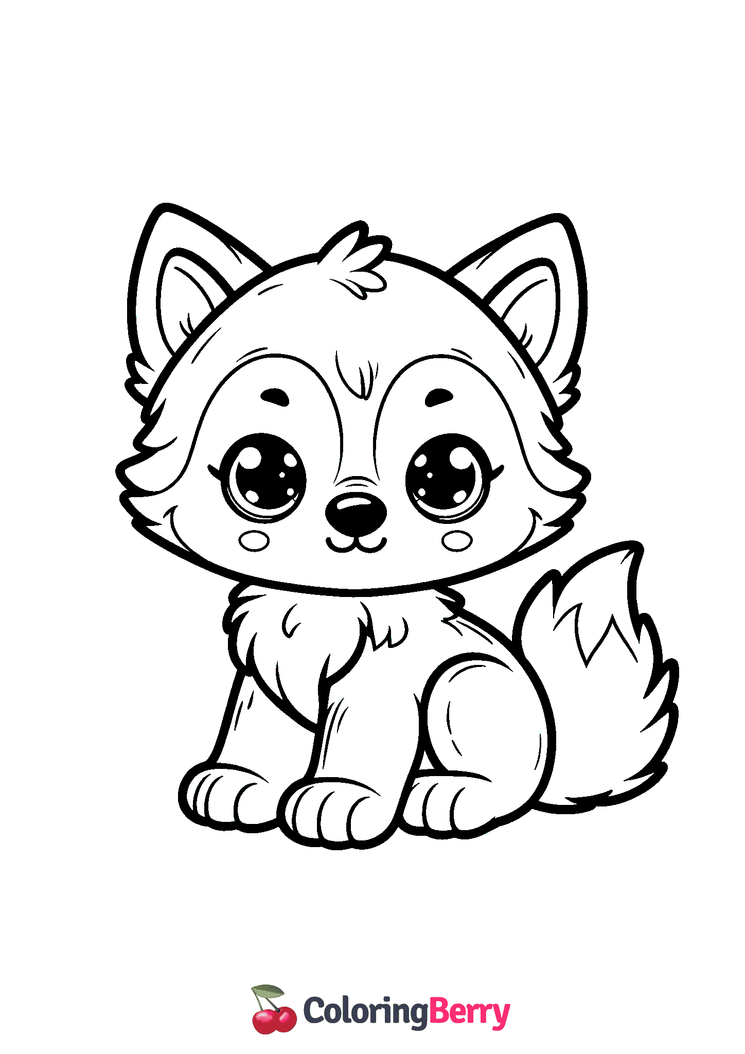 Baby Wolf