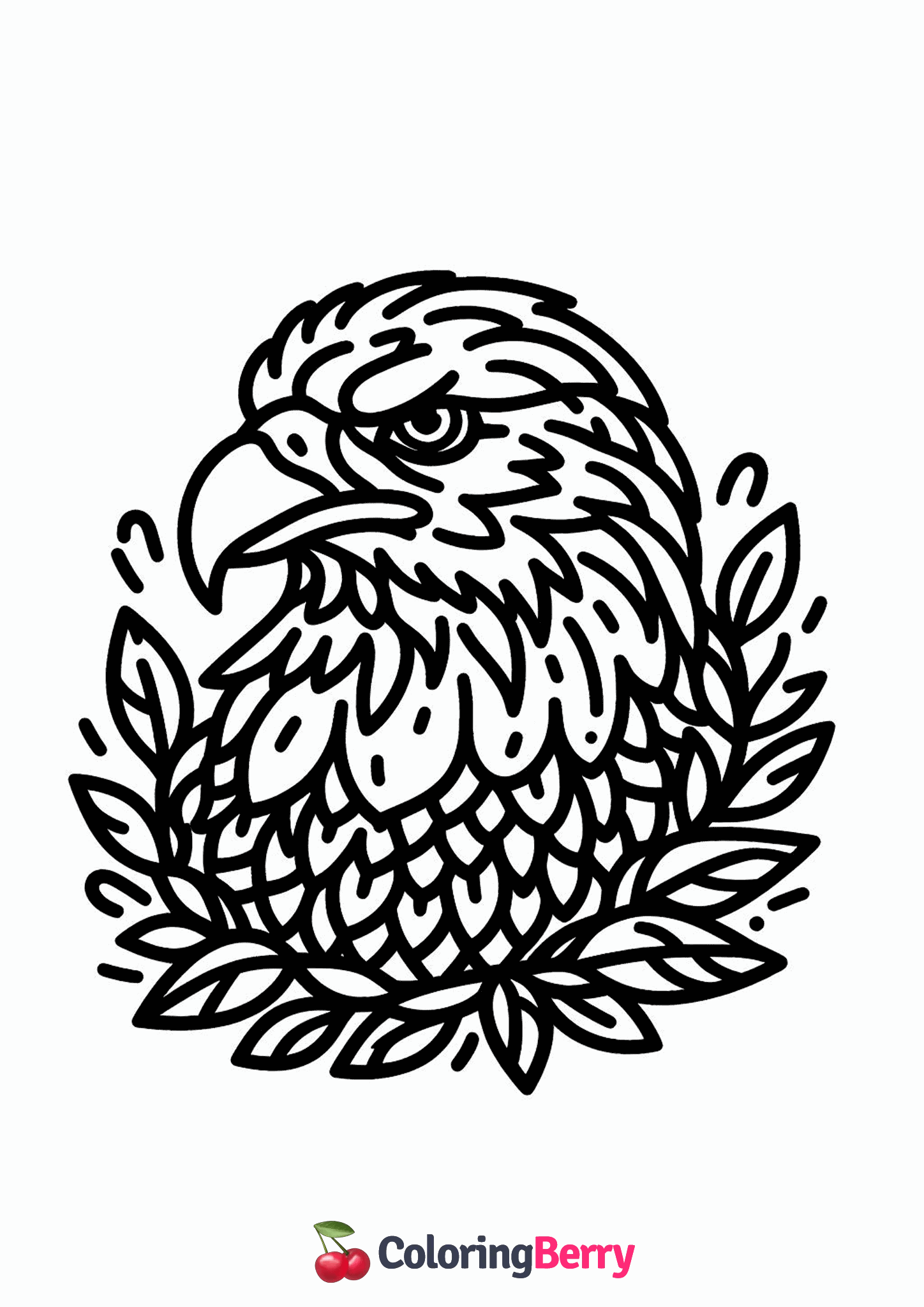 Bald Eagle Head