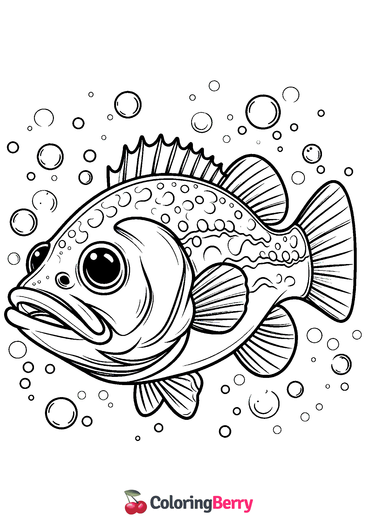 Bass Fish