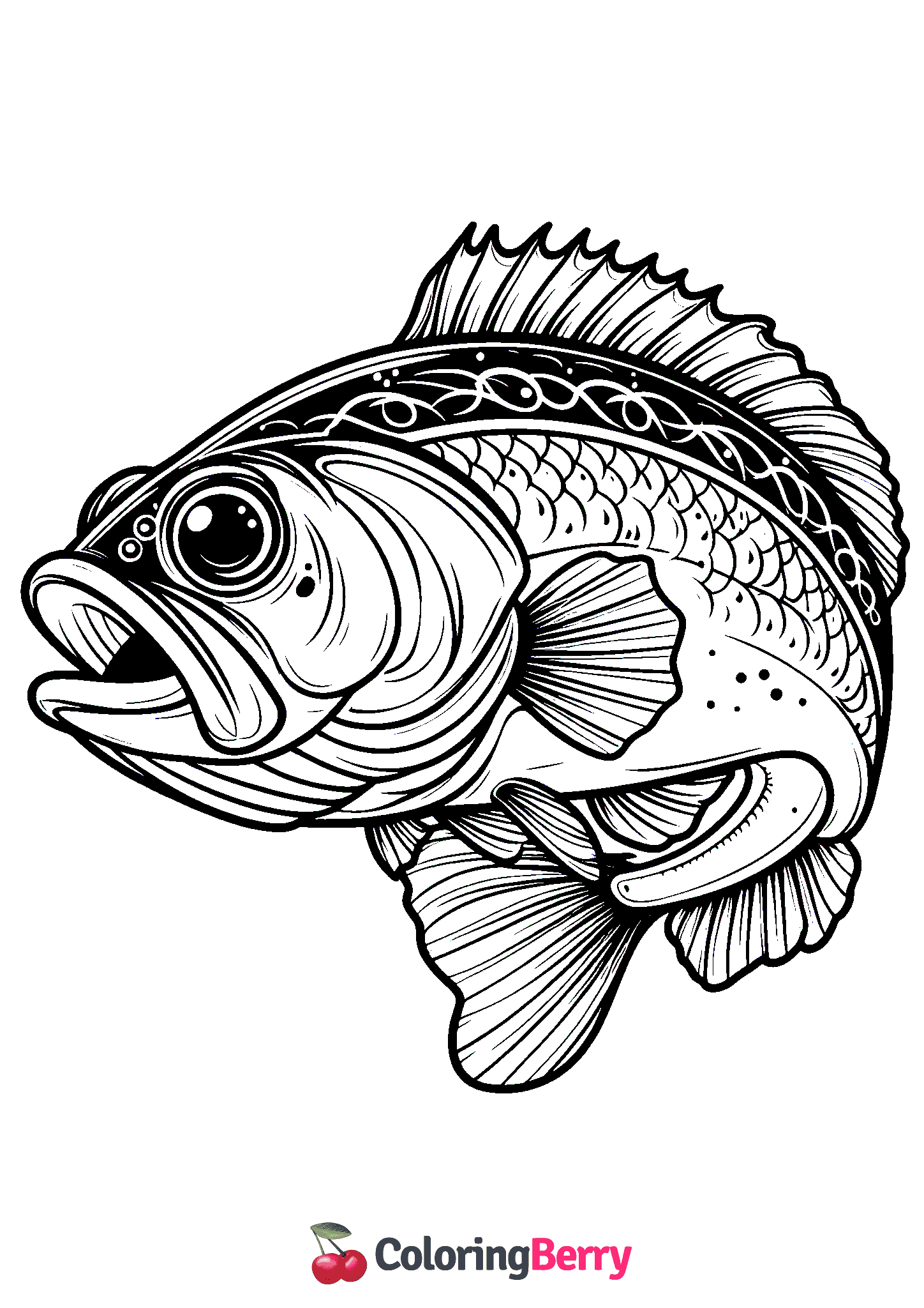 Bass