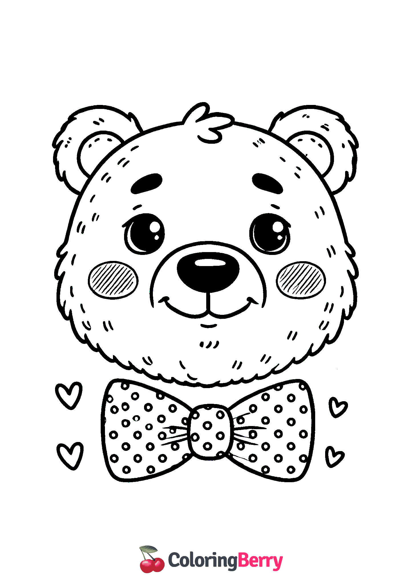 Bear Face