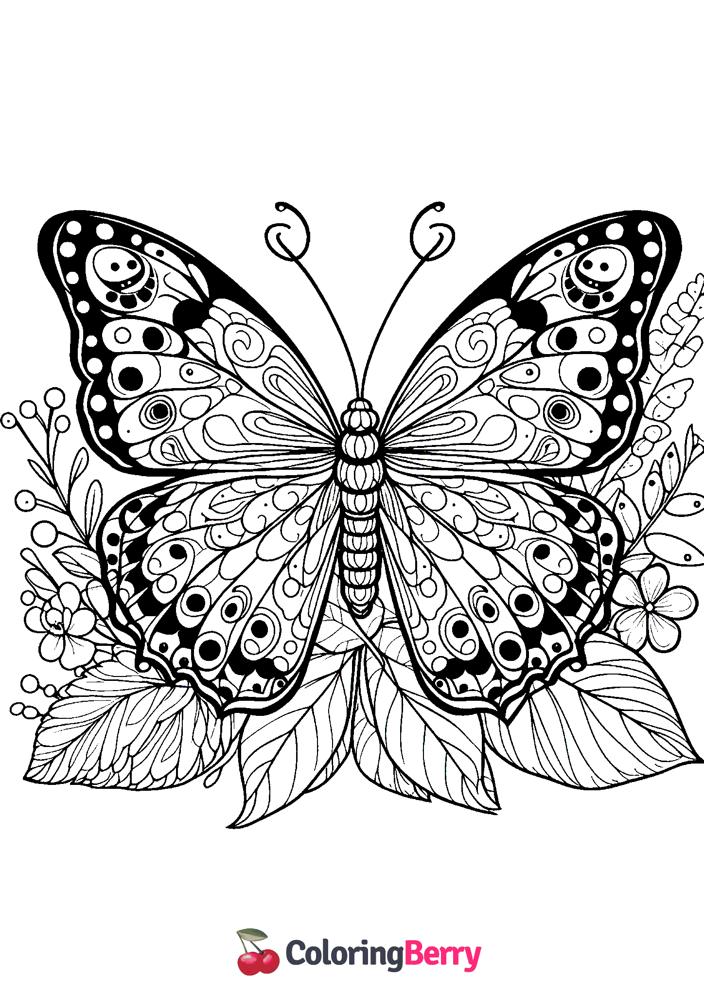 Beautiful Butterfly