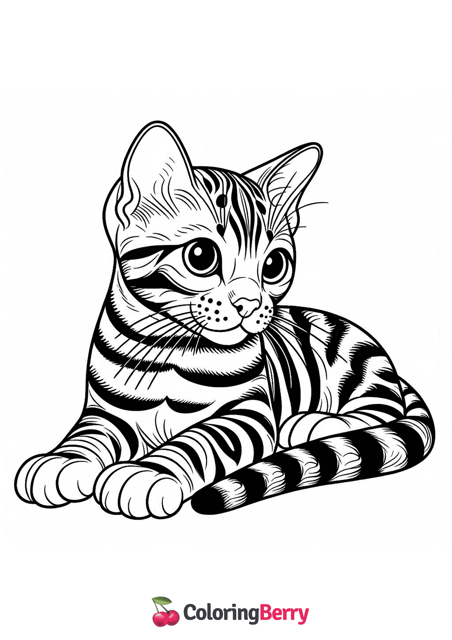 Bengal Cat