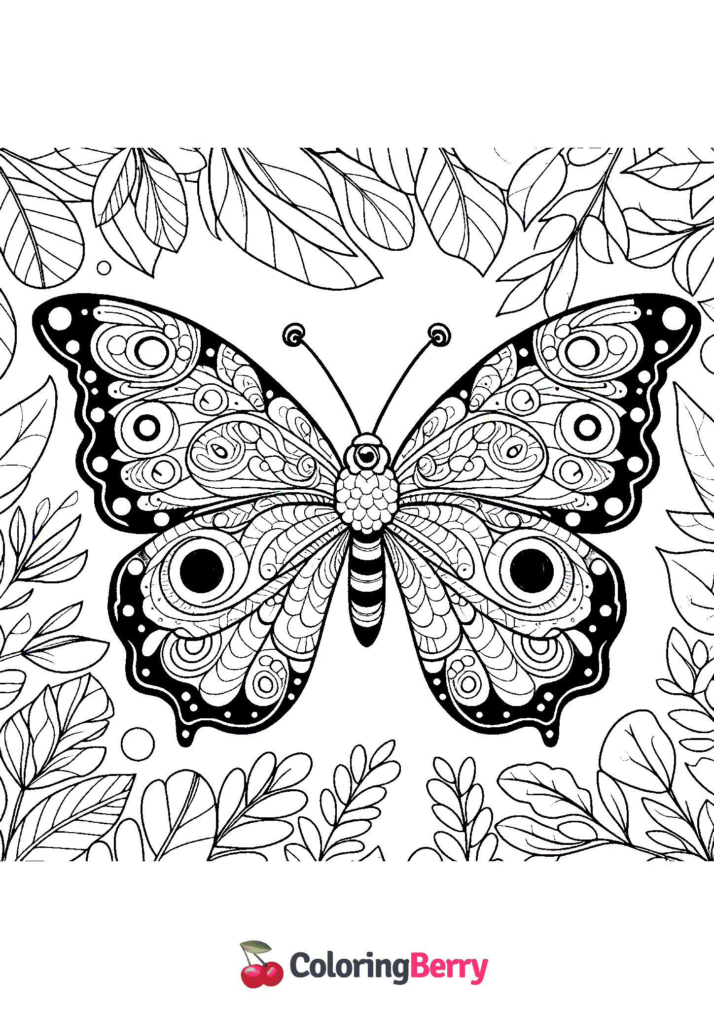 Big Butterfly