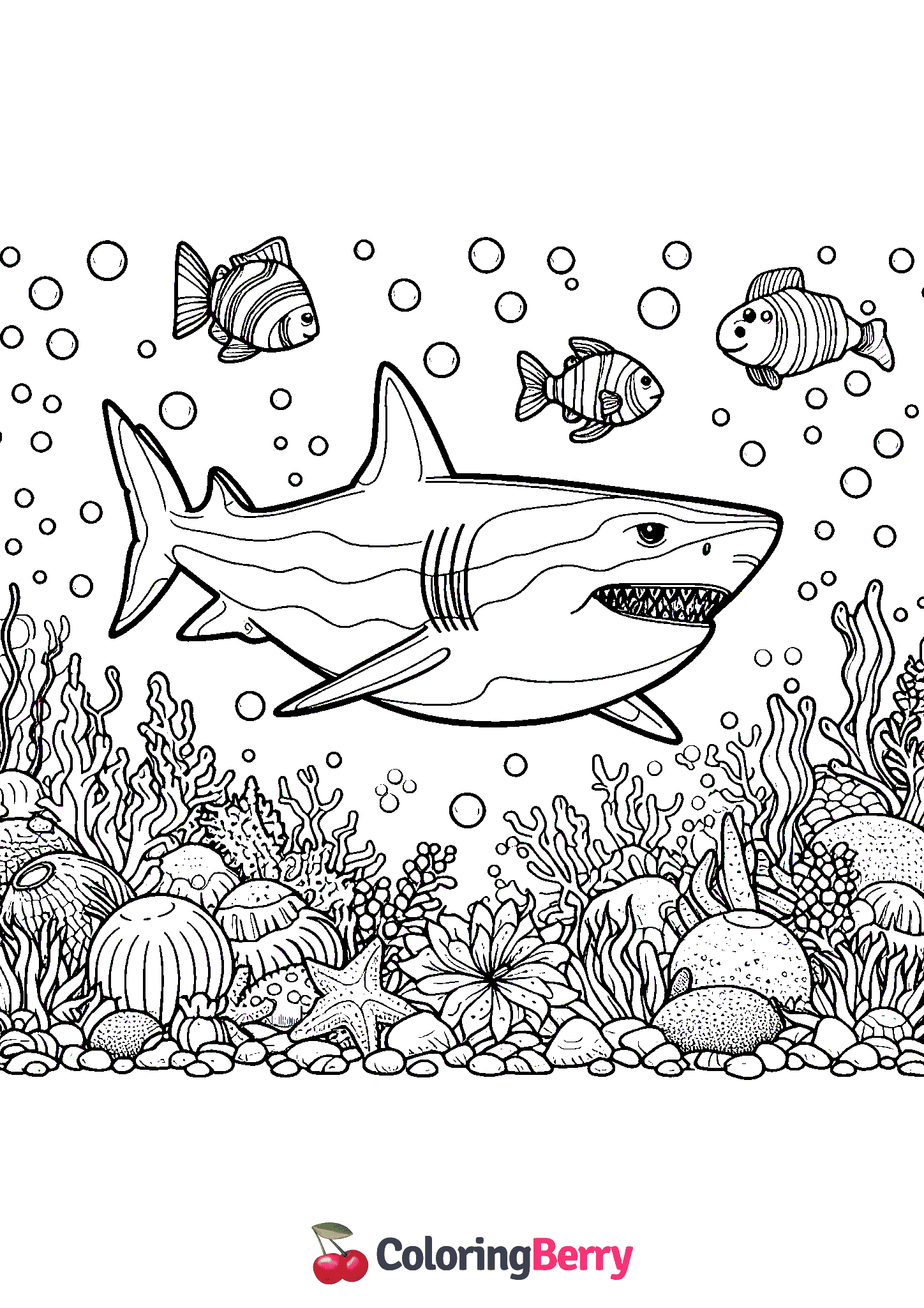 Big Shark