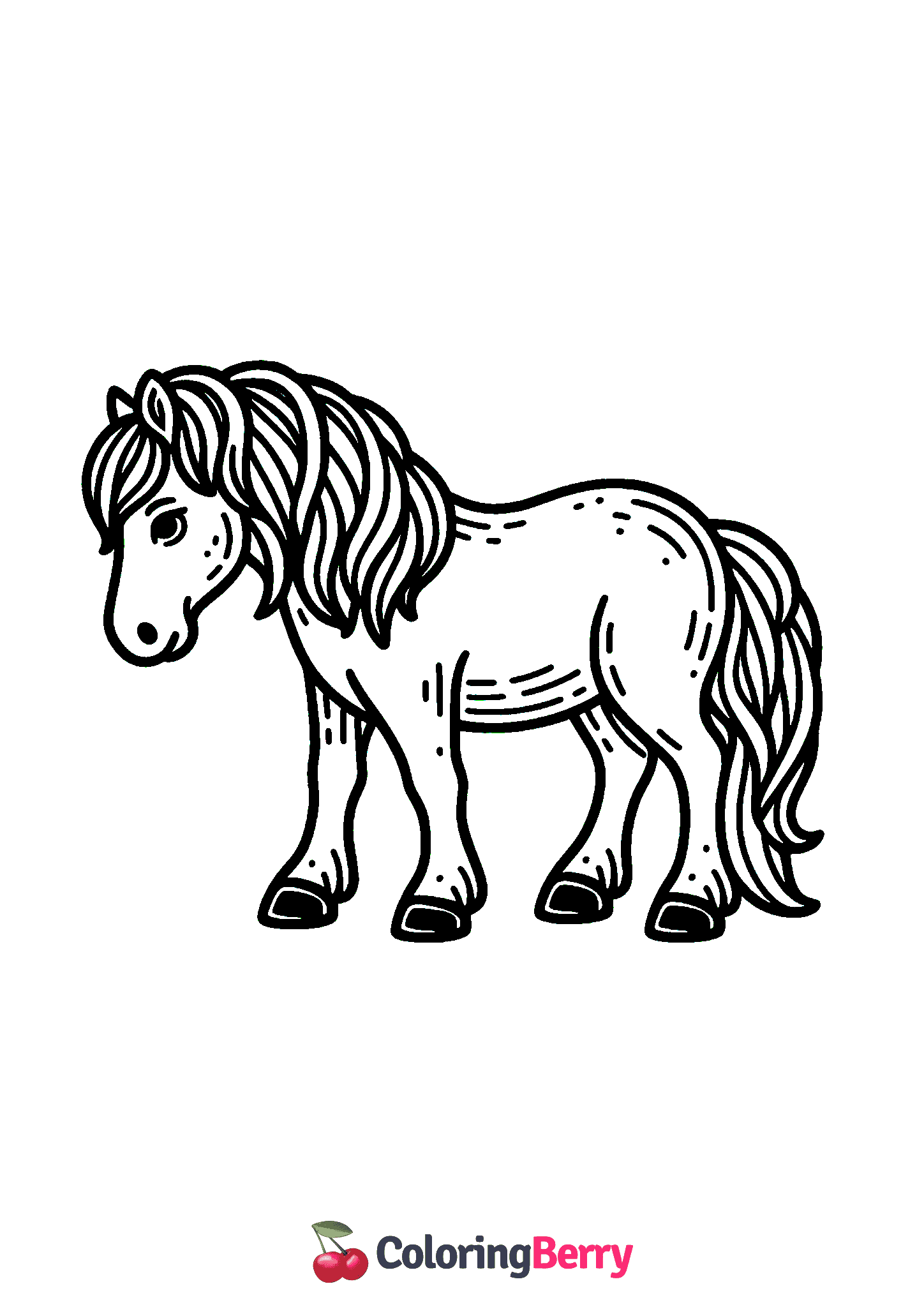 Black and White Horse