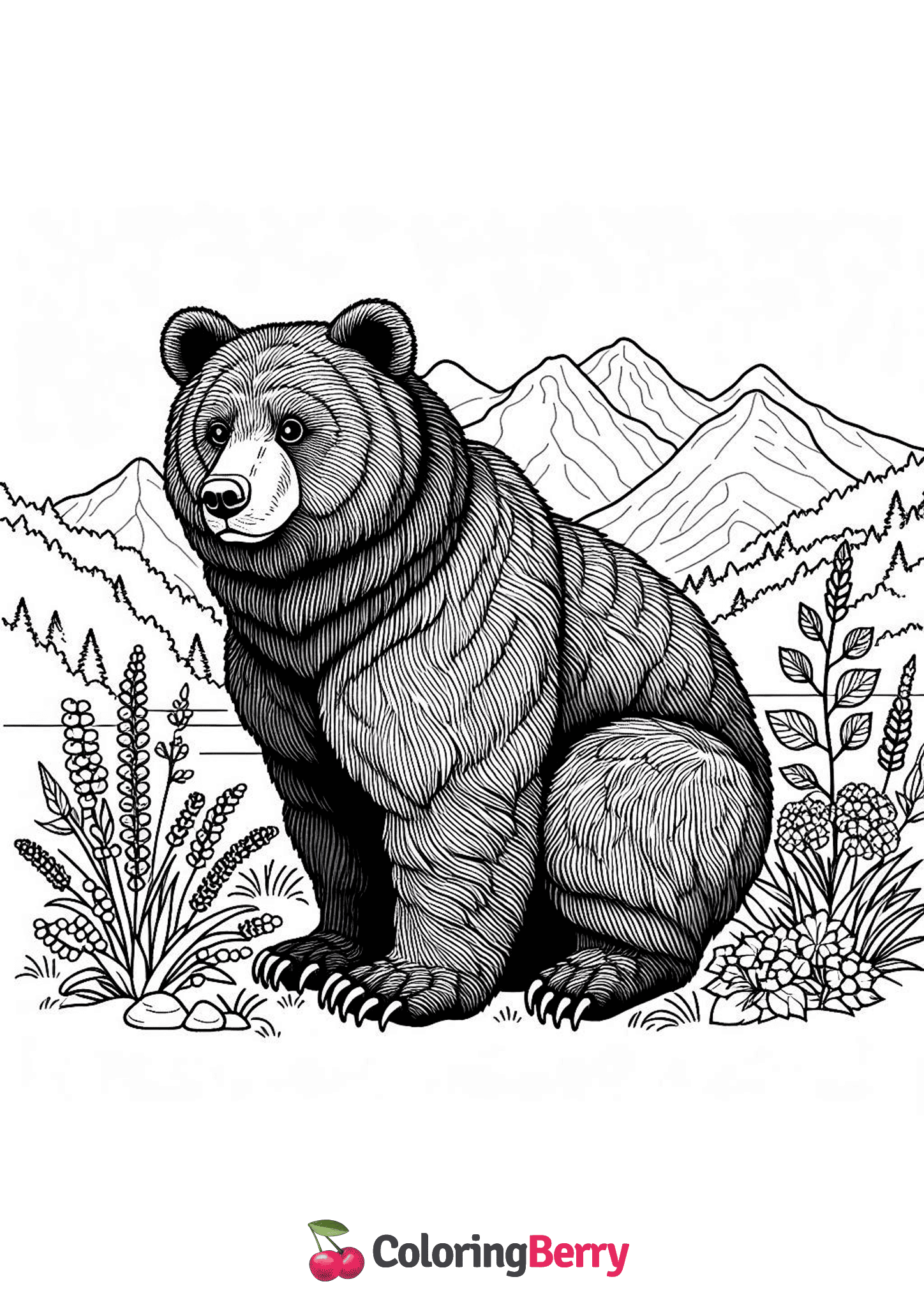 Black Bear Sitting