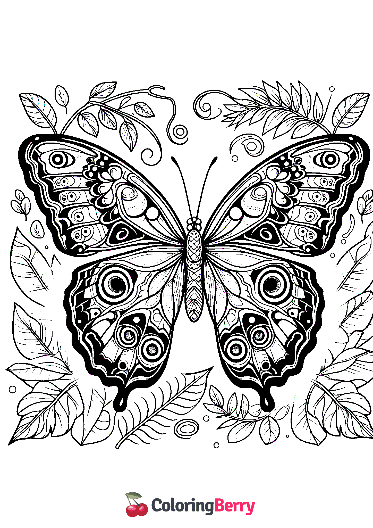 Blue Morpho Butterfly