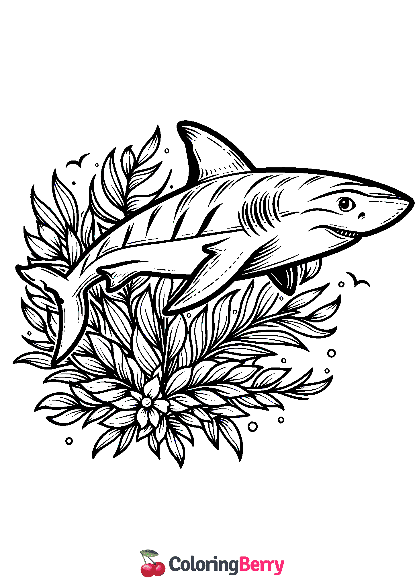 Blue Shark