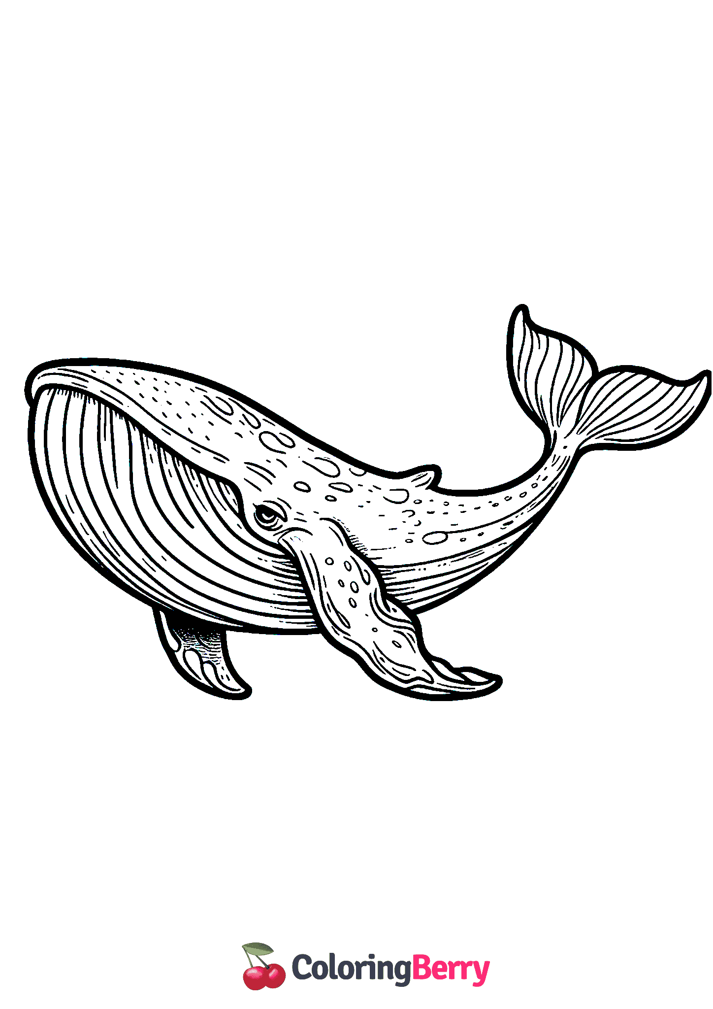 Blue Whale