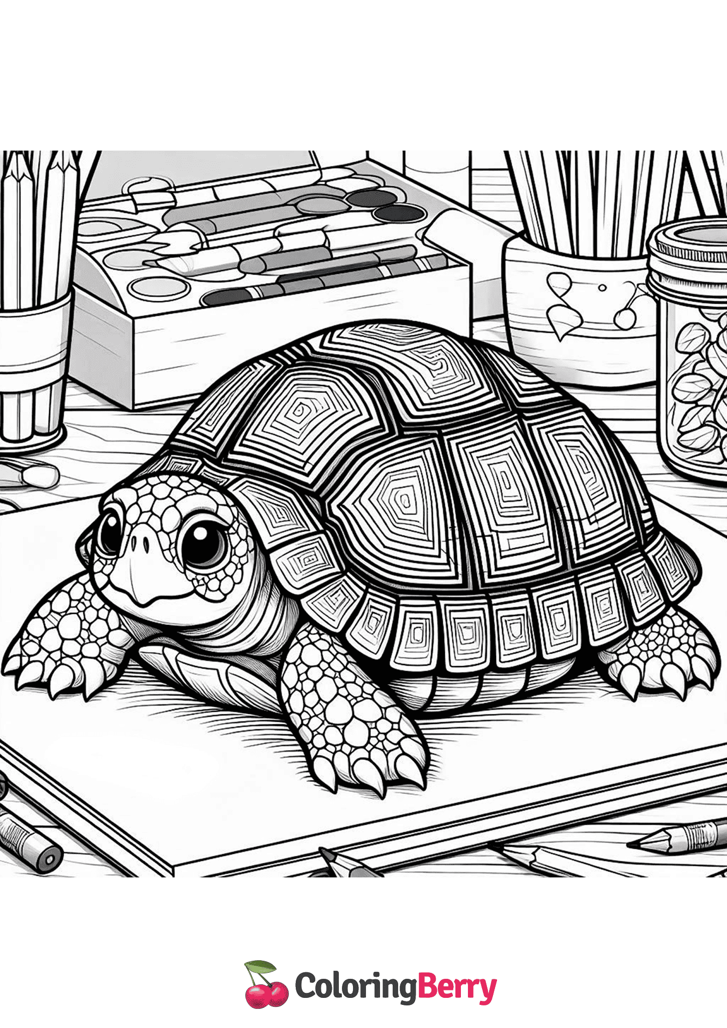 Box Turtle