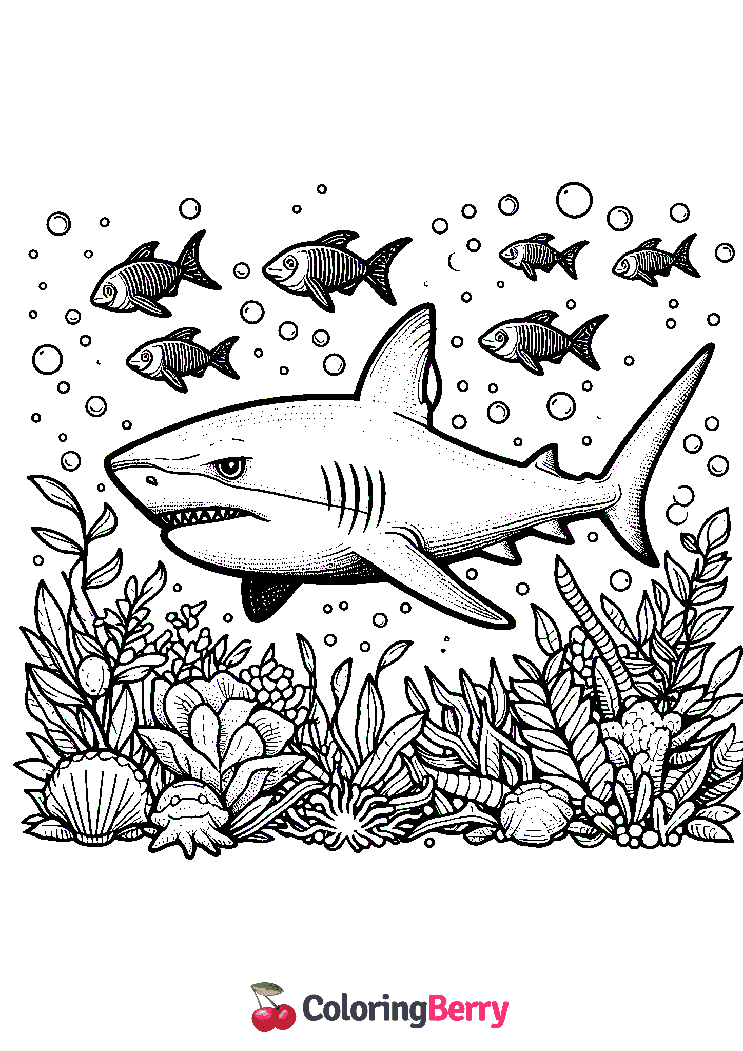 Bull Shark