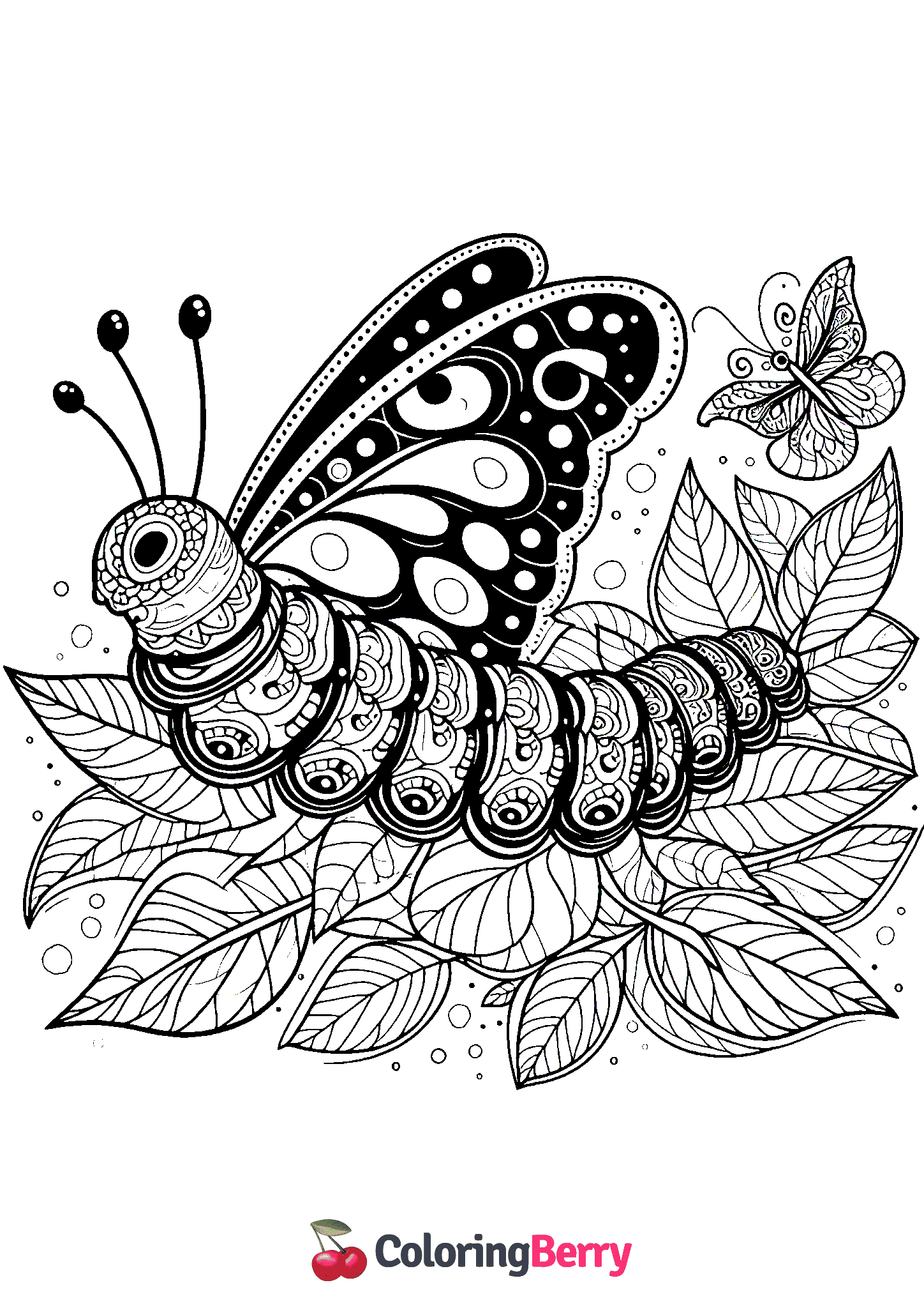 Butterfly Caterpillar