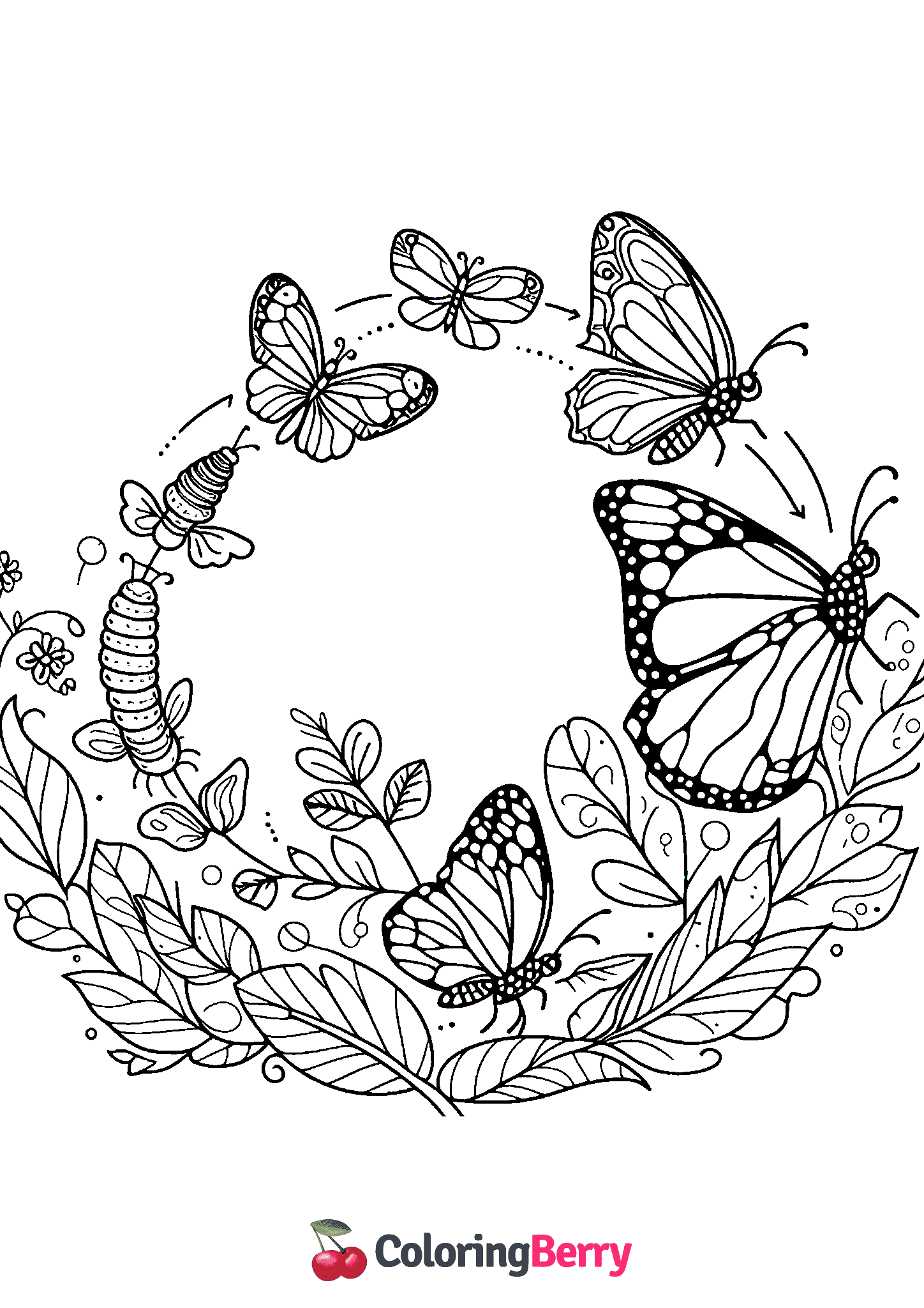 Butterfly Metamorphosis