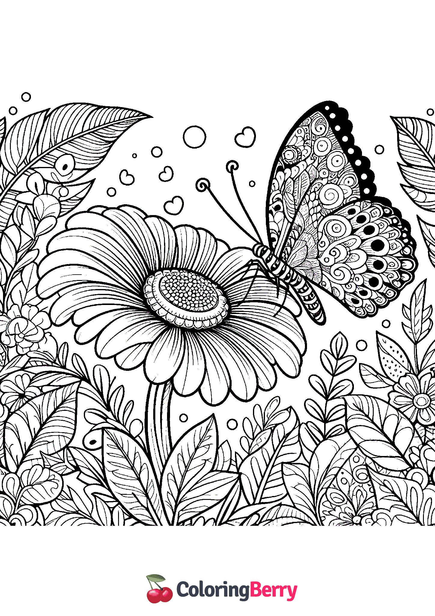 Butterfly on Flower