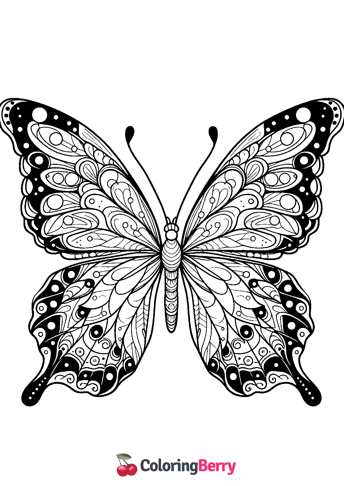 Butterfly Wings