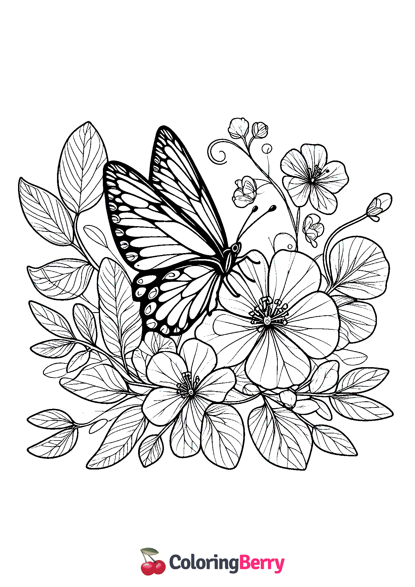 Butterfly with Flowers