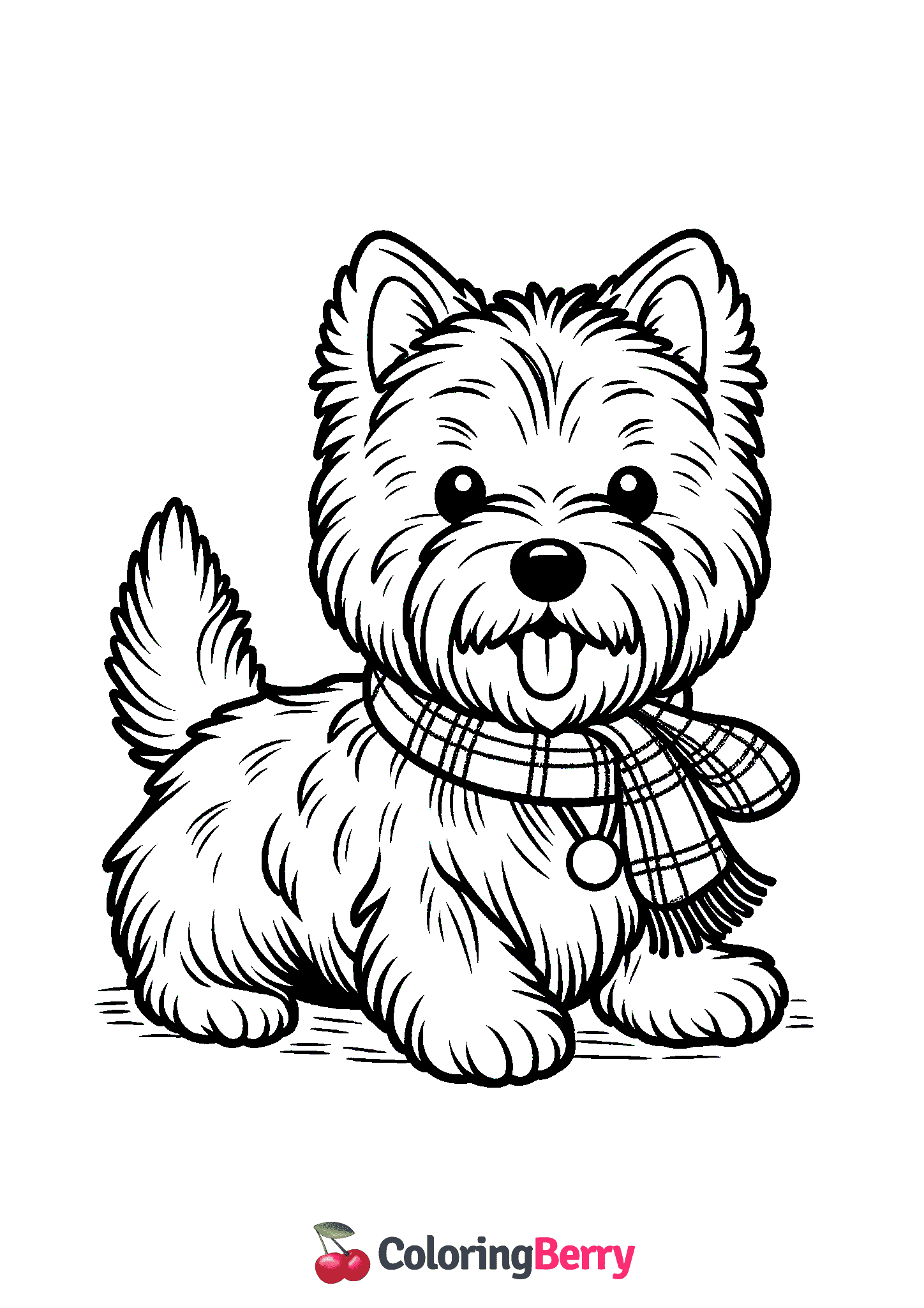 Cairn Terrier