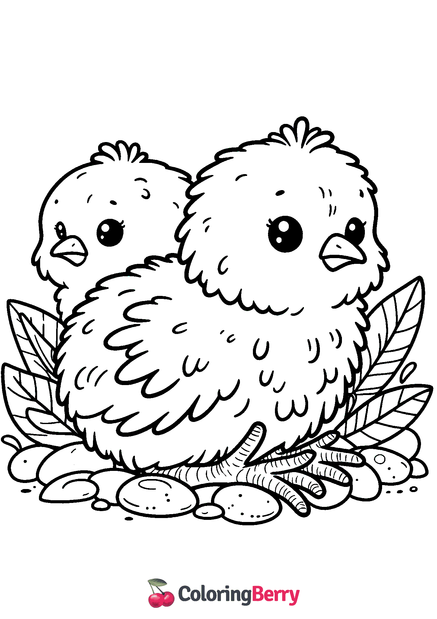 Chicks
