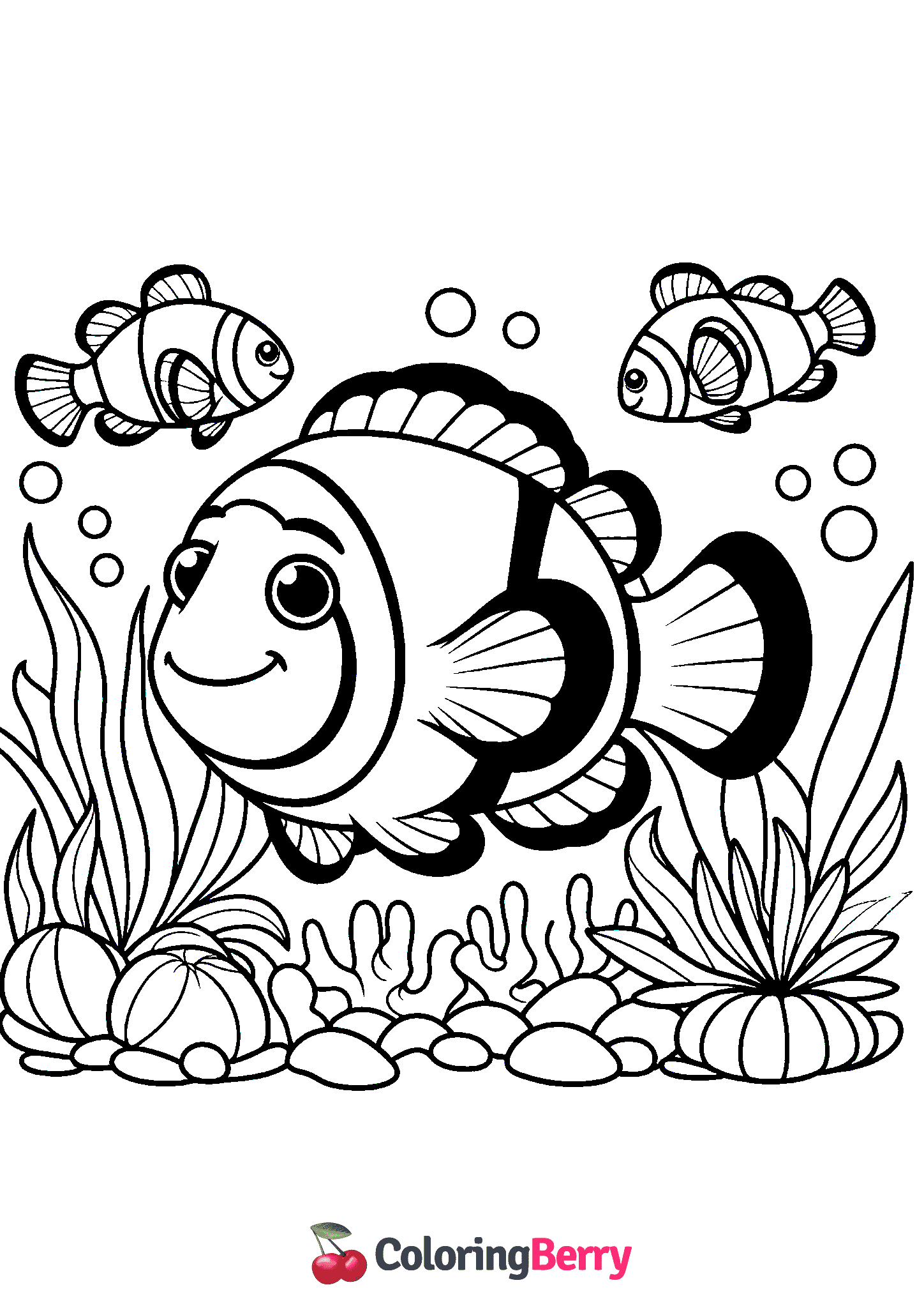 Clown Fish
