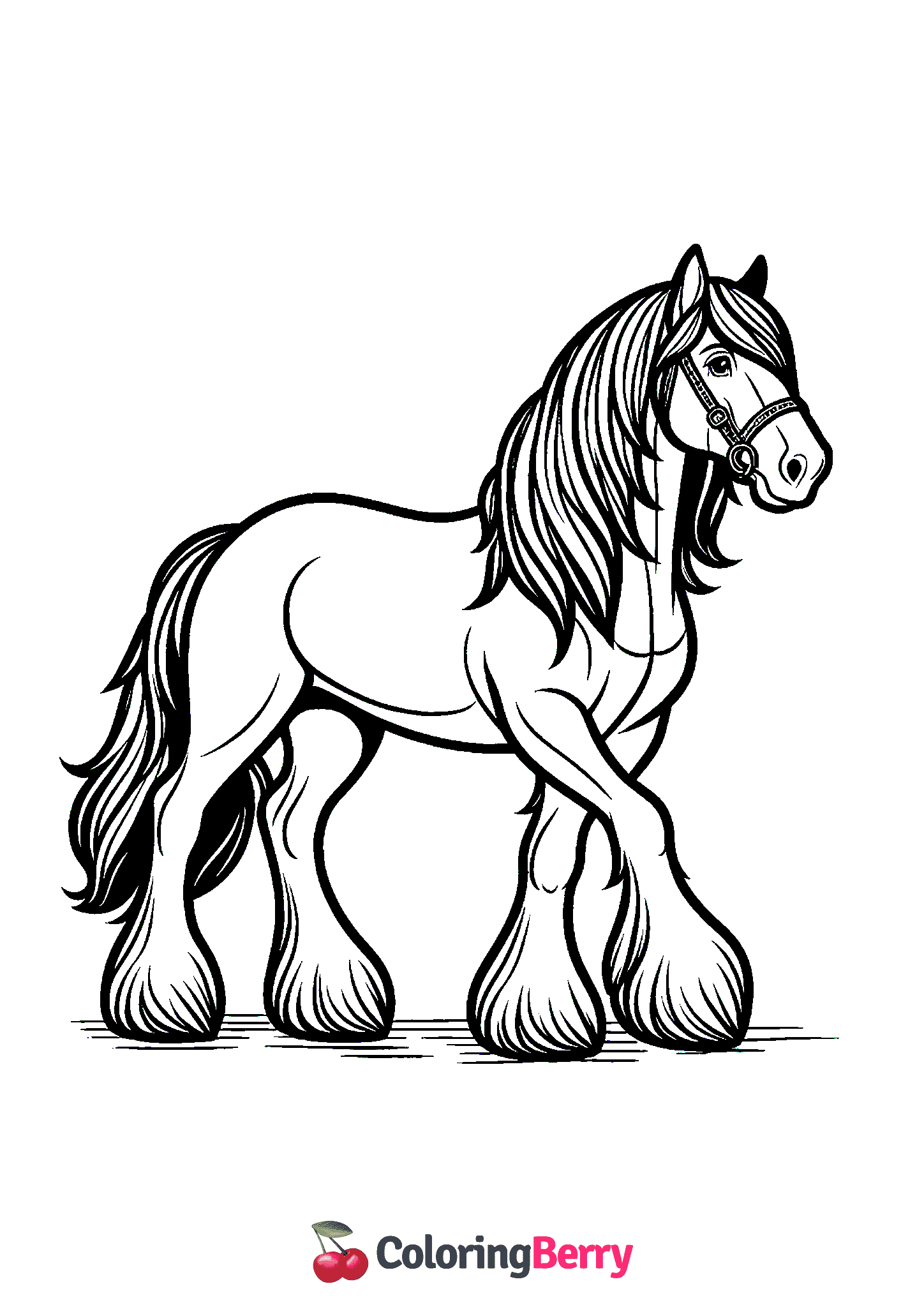 Clydesdale Horse