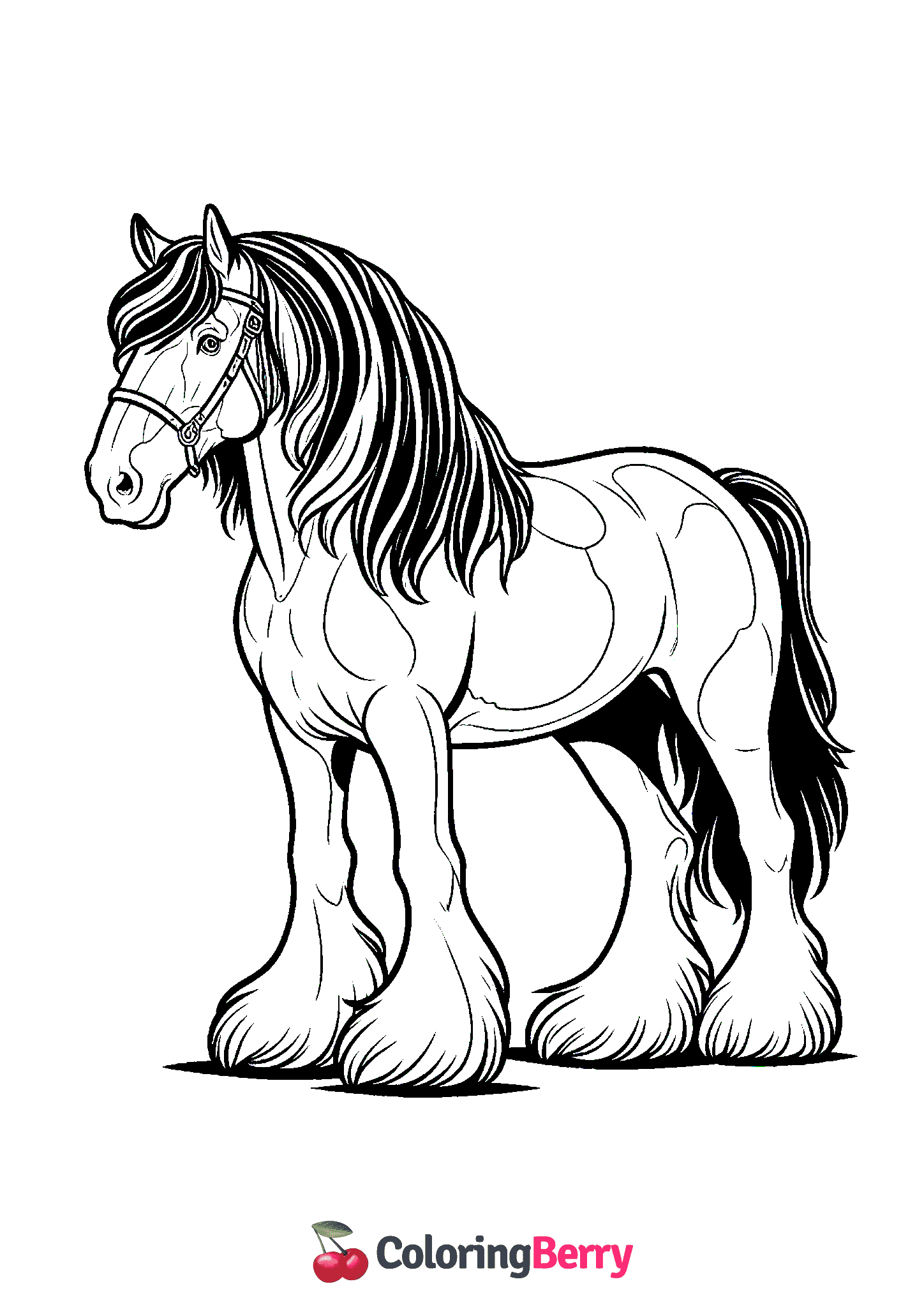 Clydesdale
