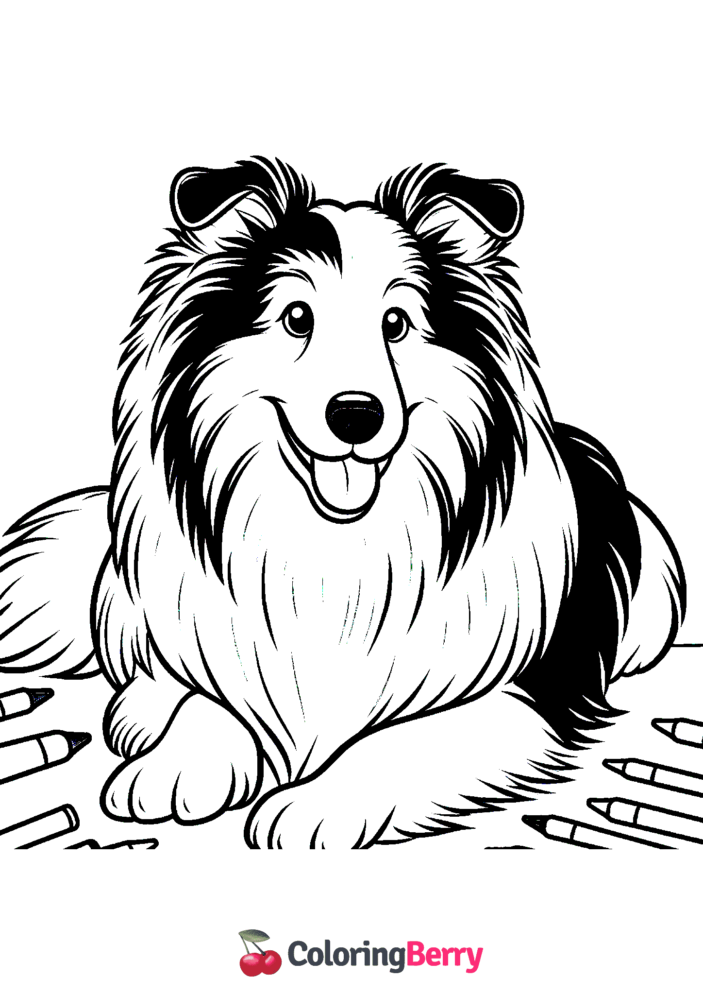 Collie Dog