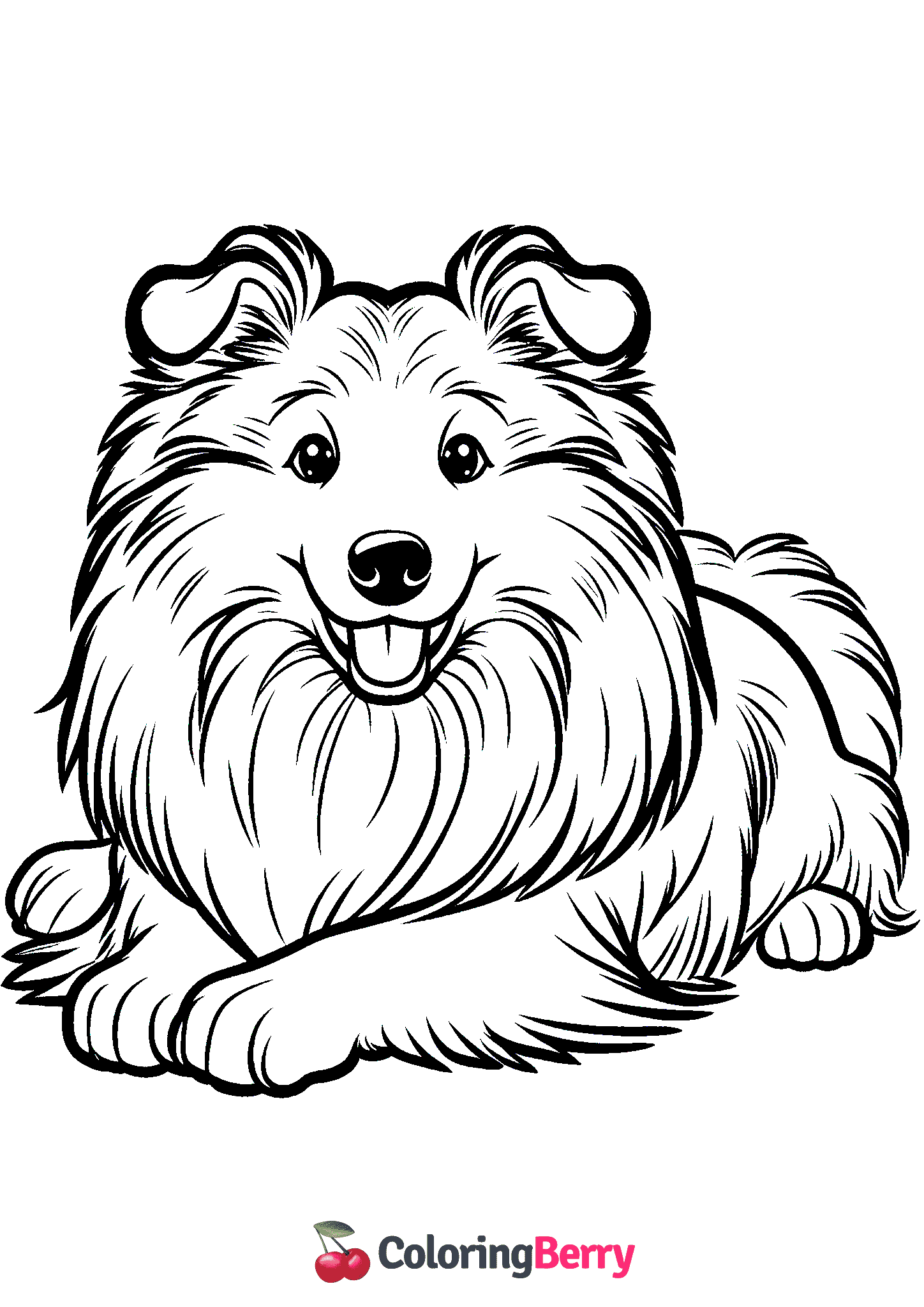 Collie
