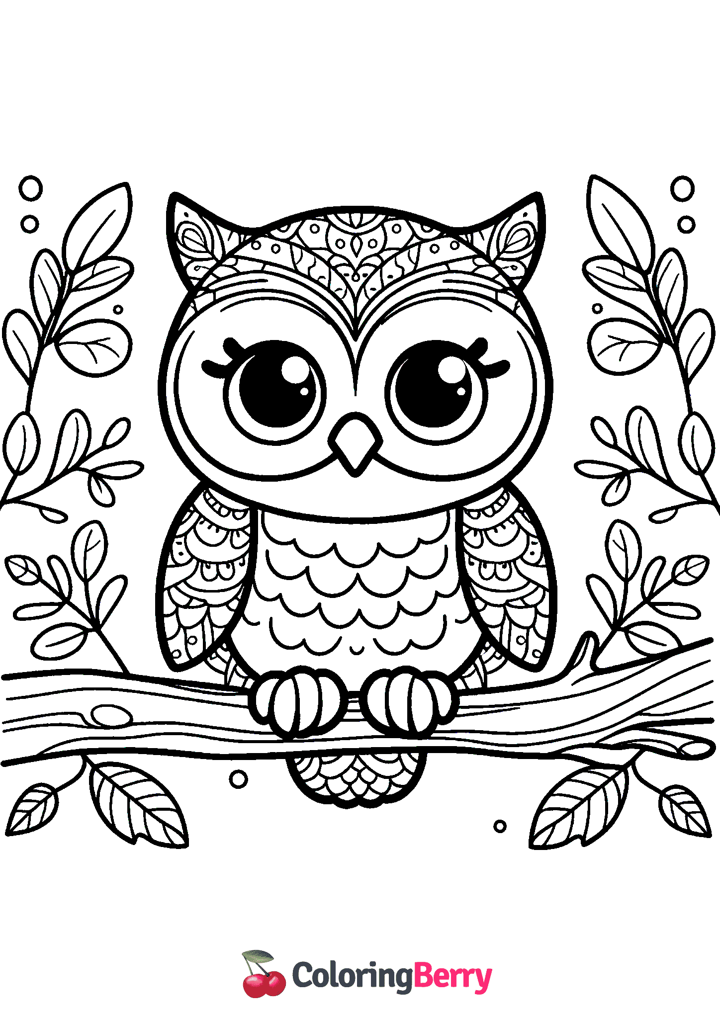 Colored Owl