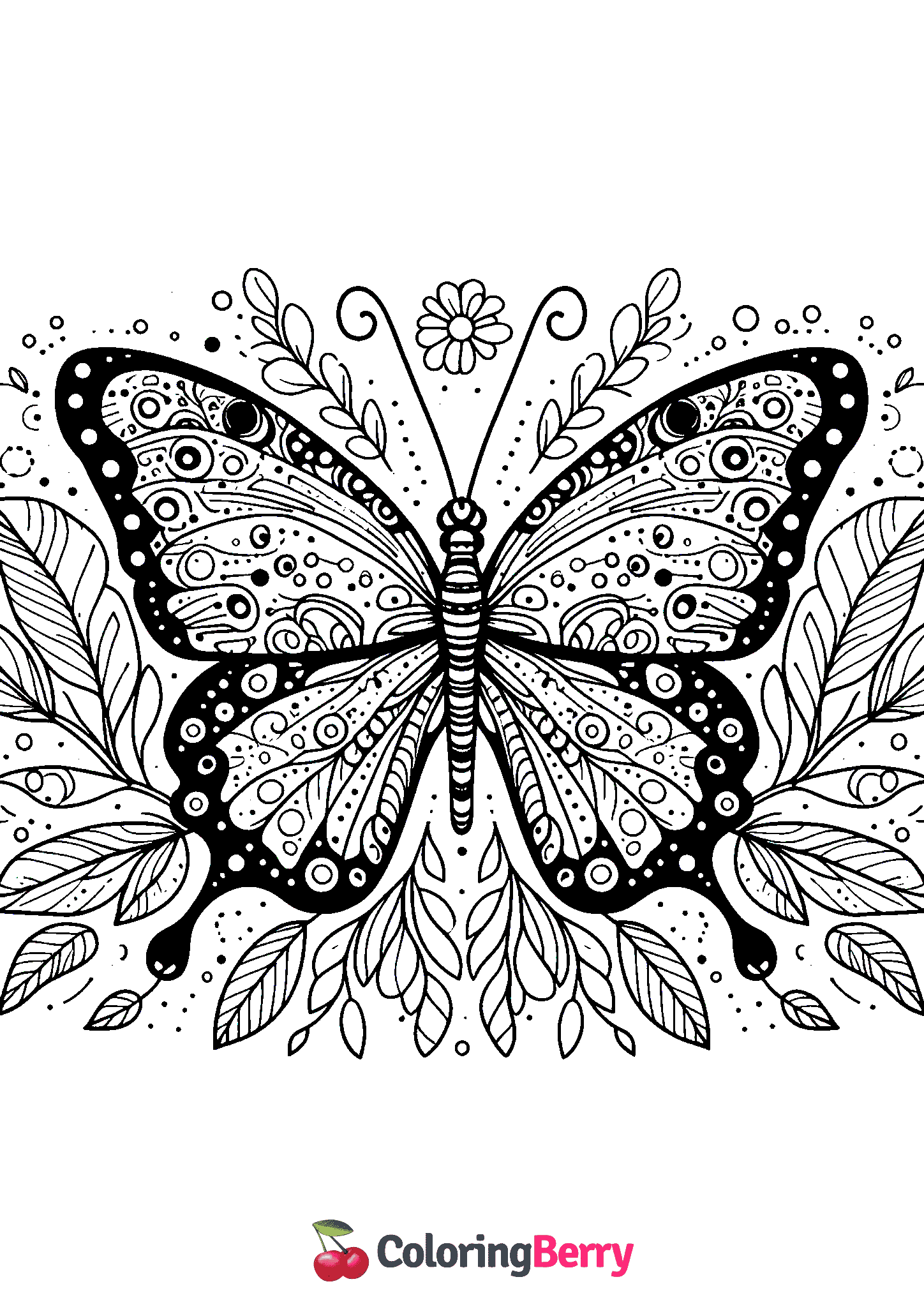Cool Butterfly