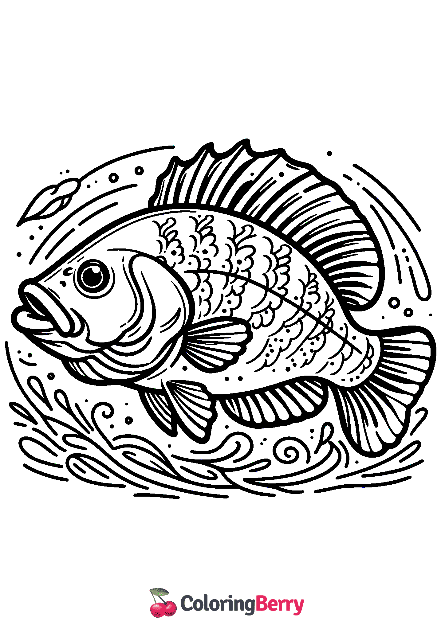 Crappie Fish