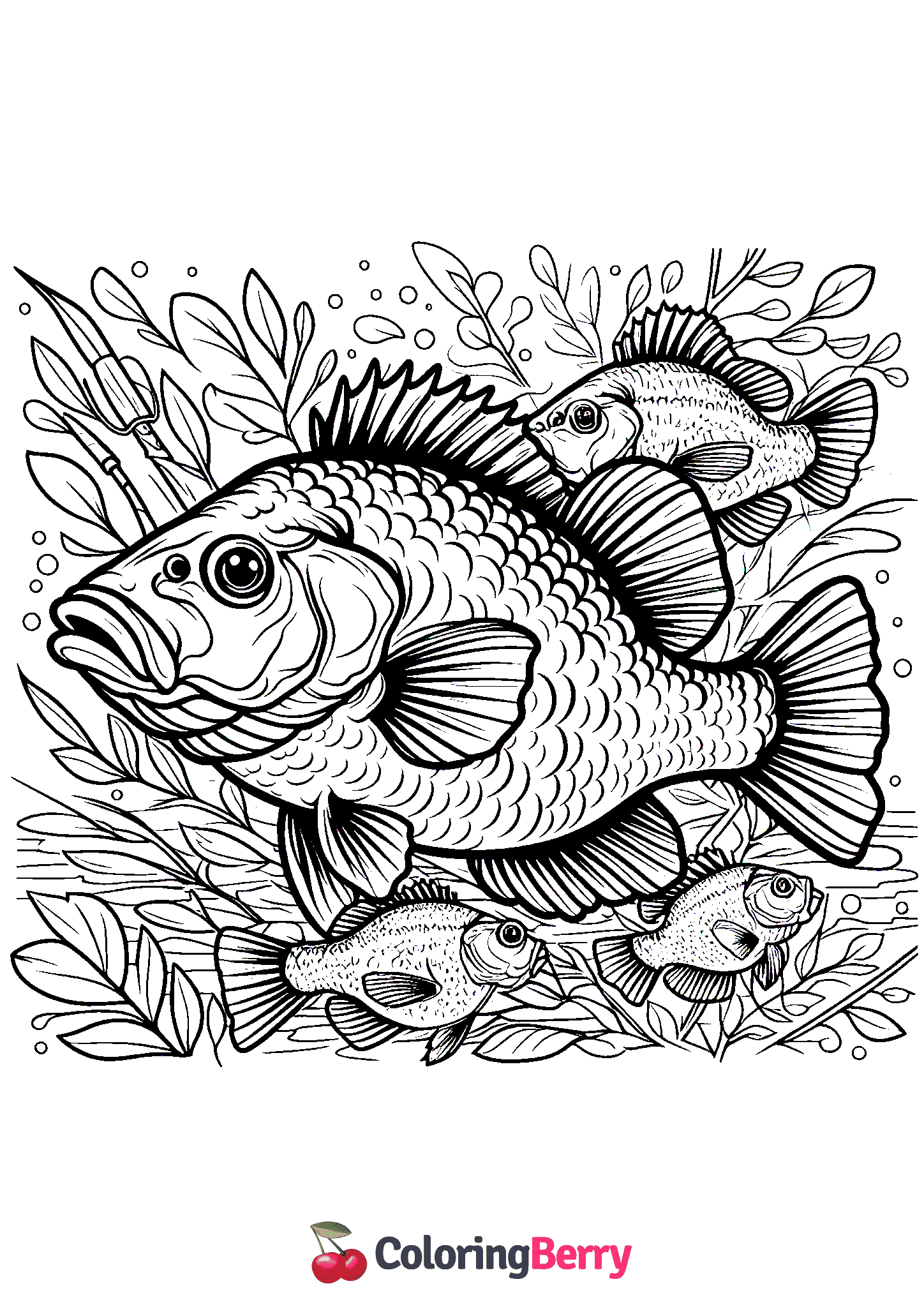 Crappie
