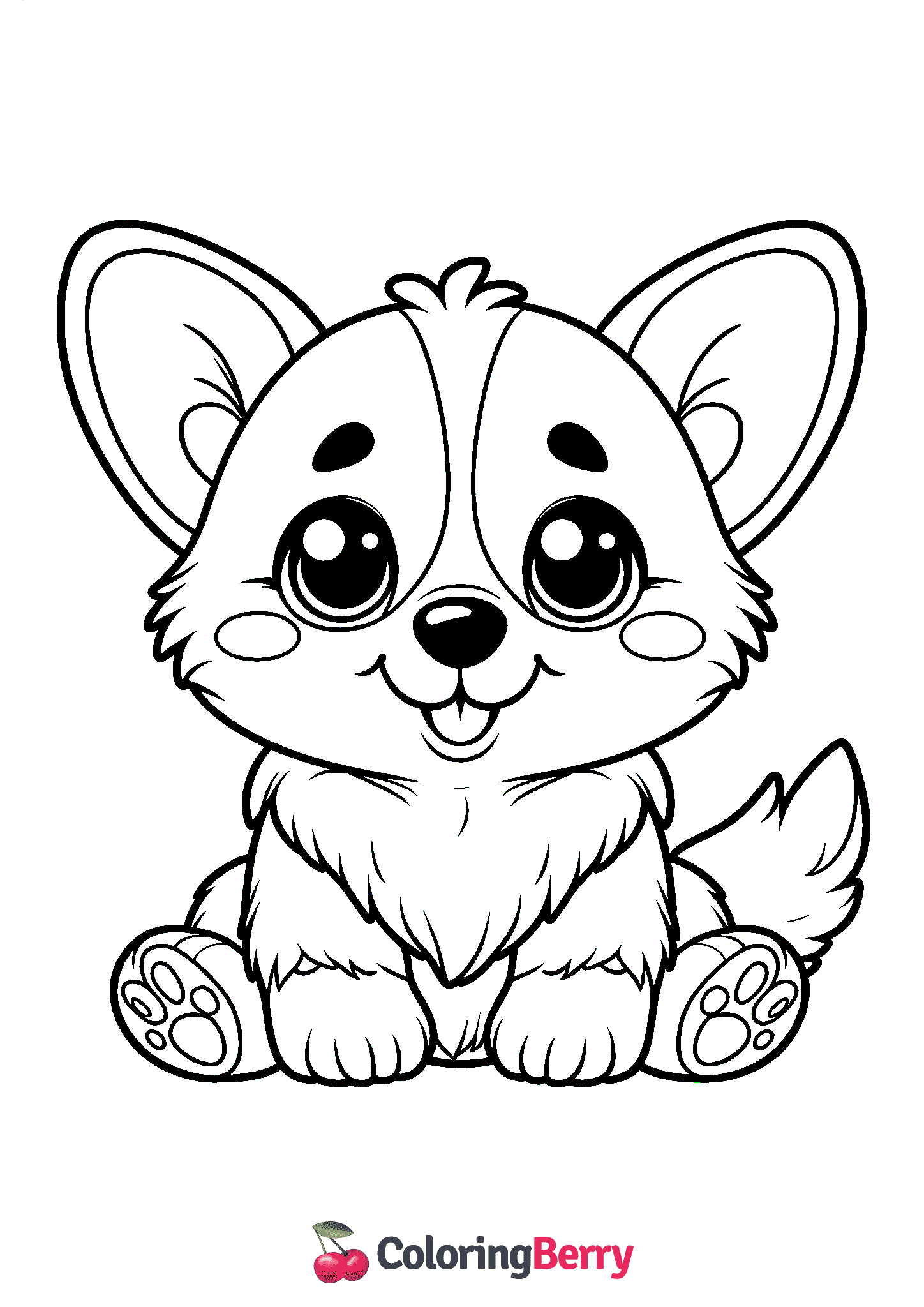Cute Corgi