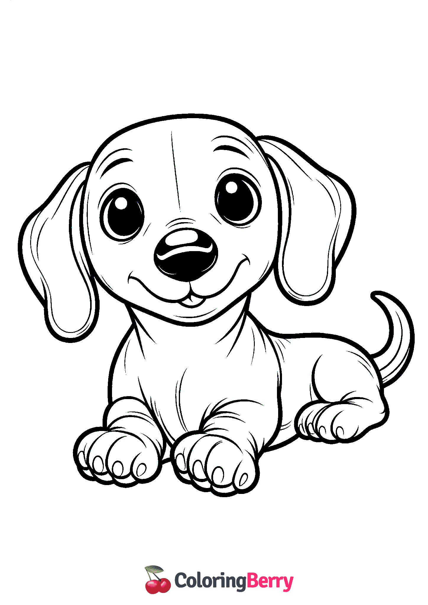Cute Dachshund