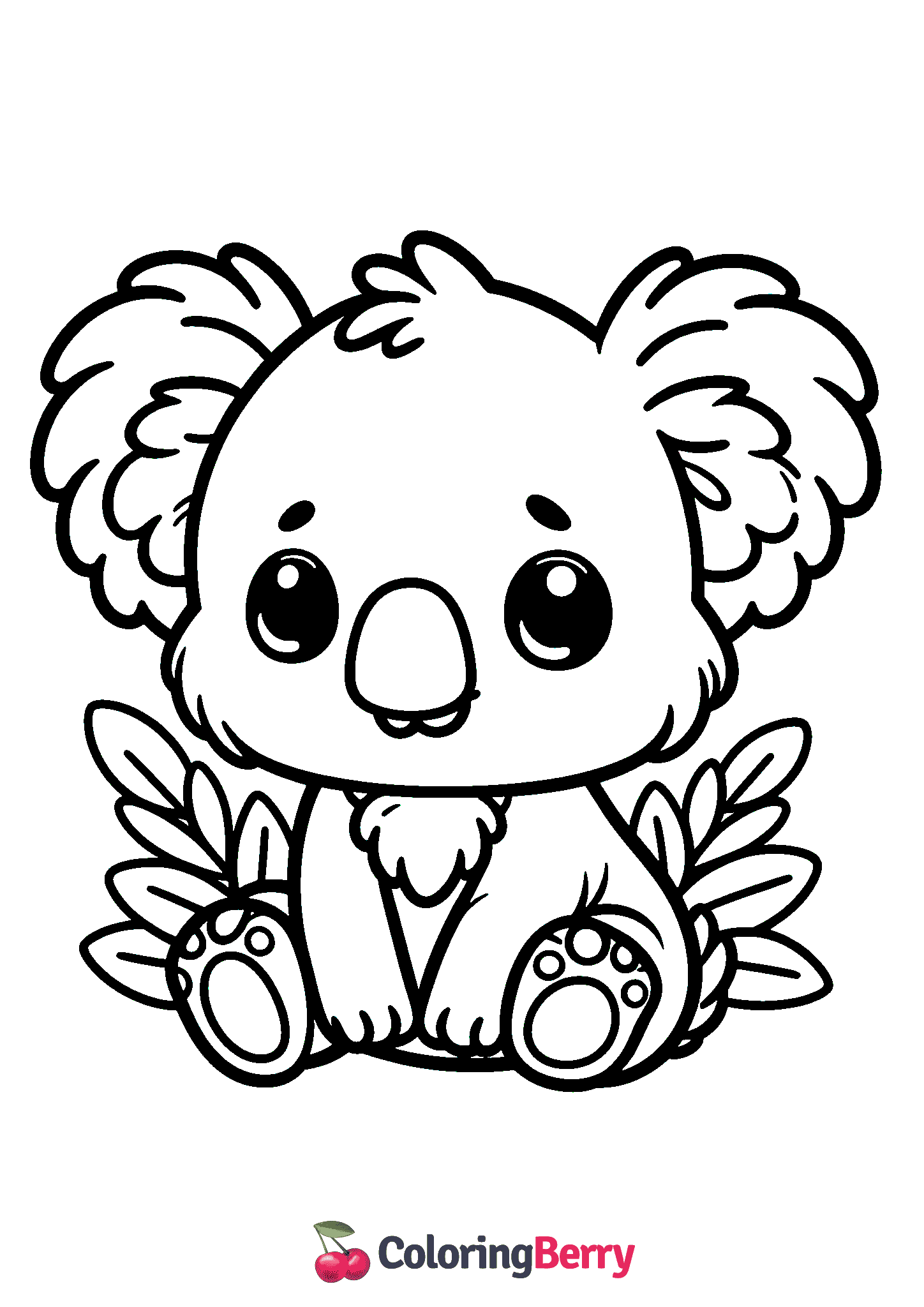 Cute Koala Bear