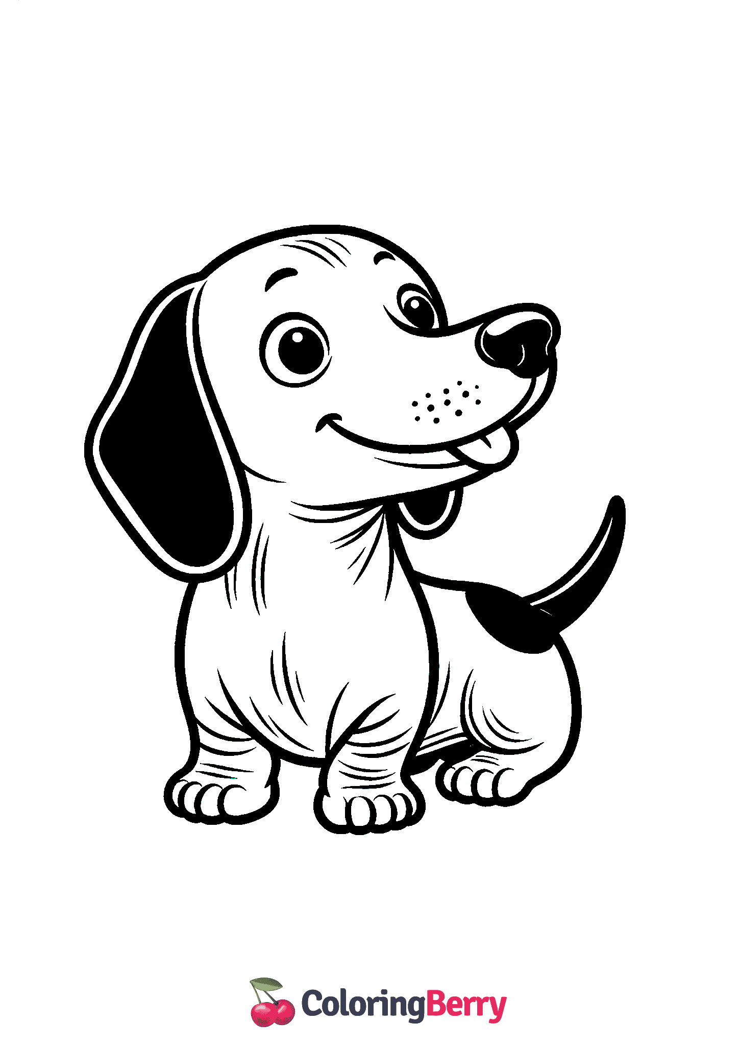 Dachshund Dog