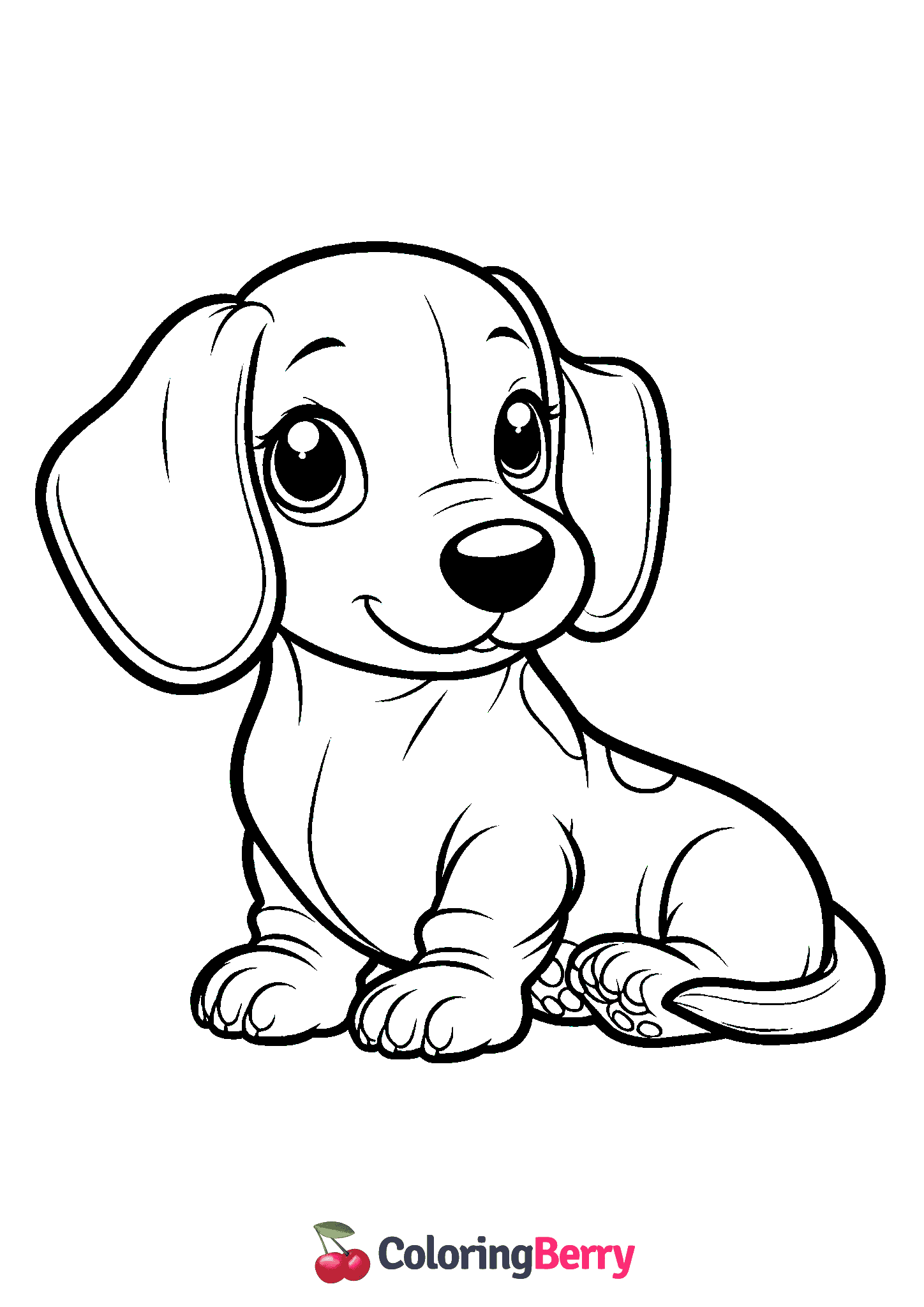 Dachshund Puppy
