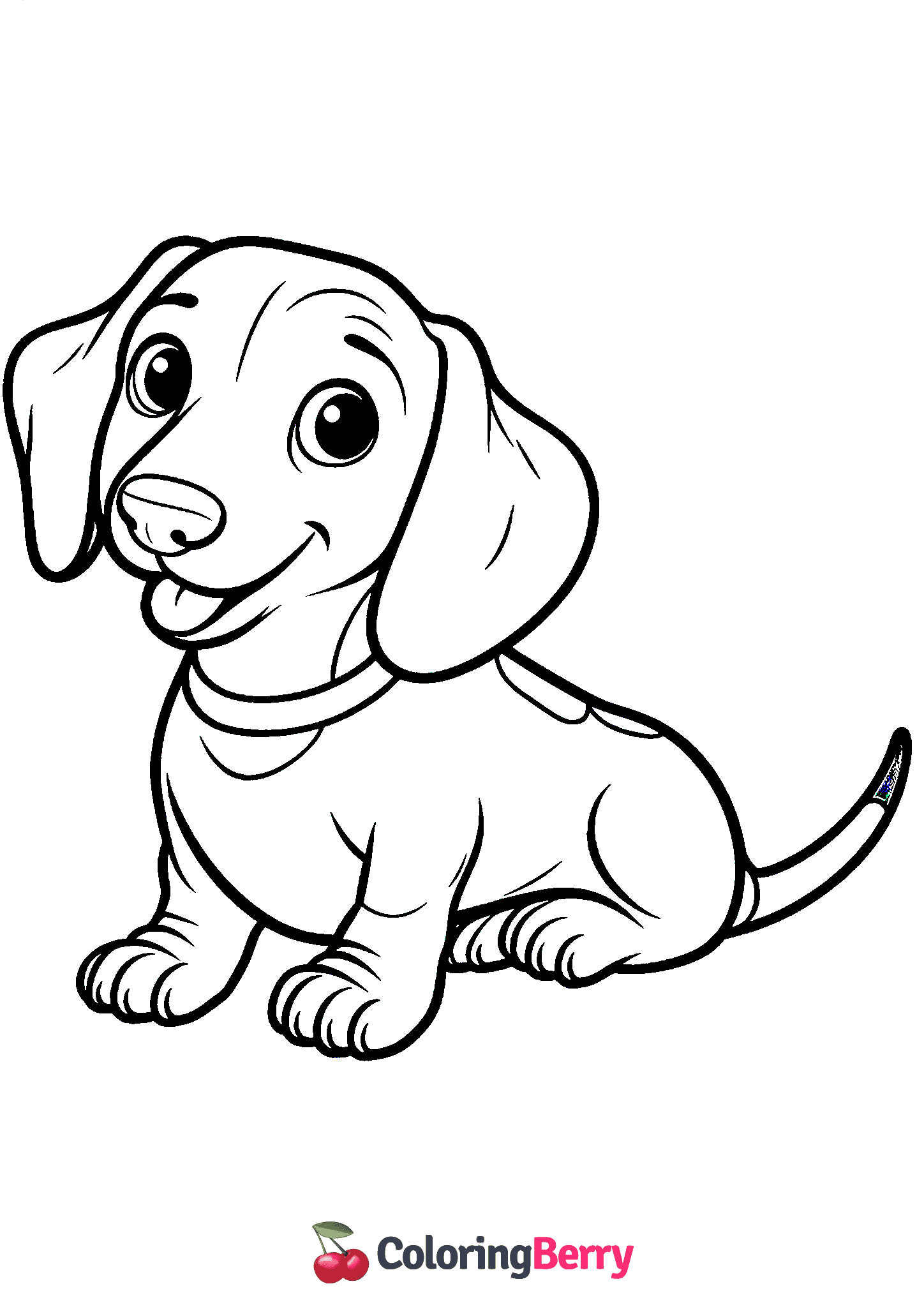 Dachshund