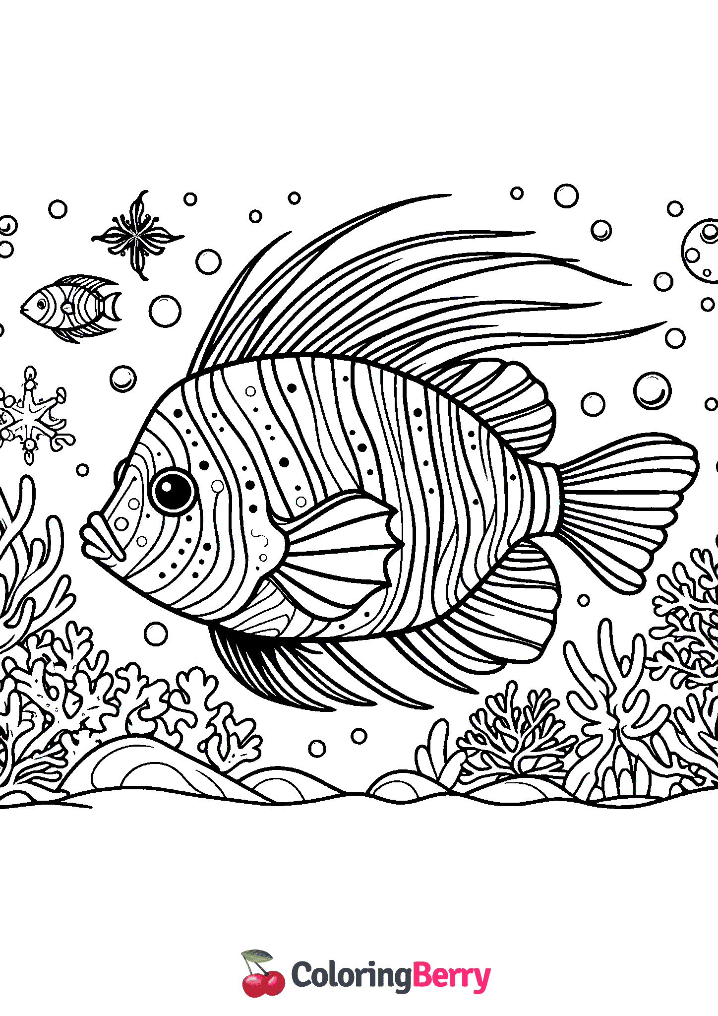 Deep Sea Fish